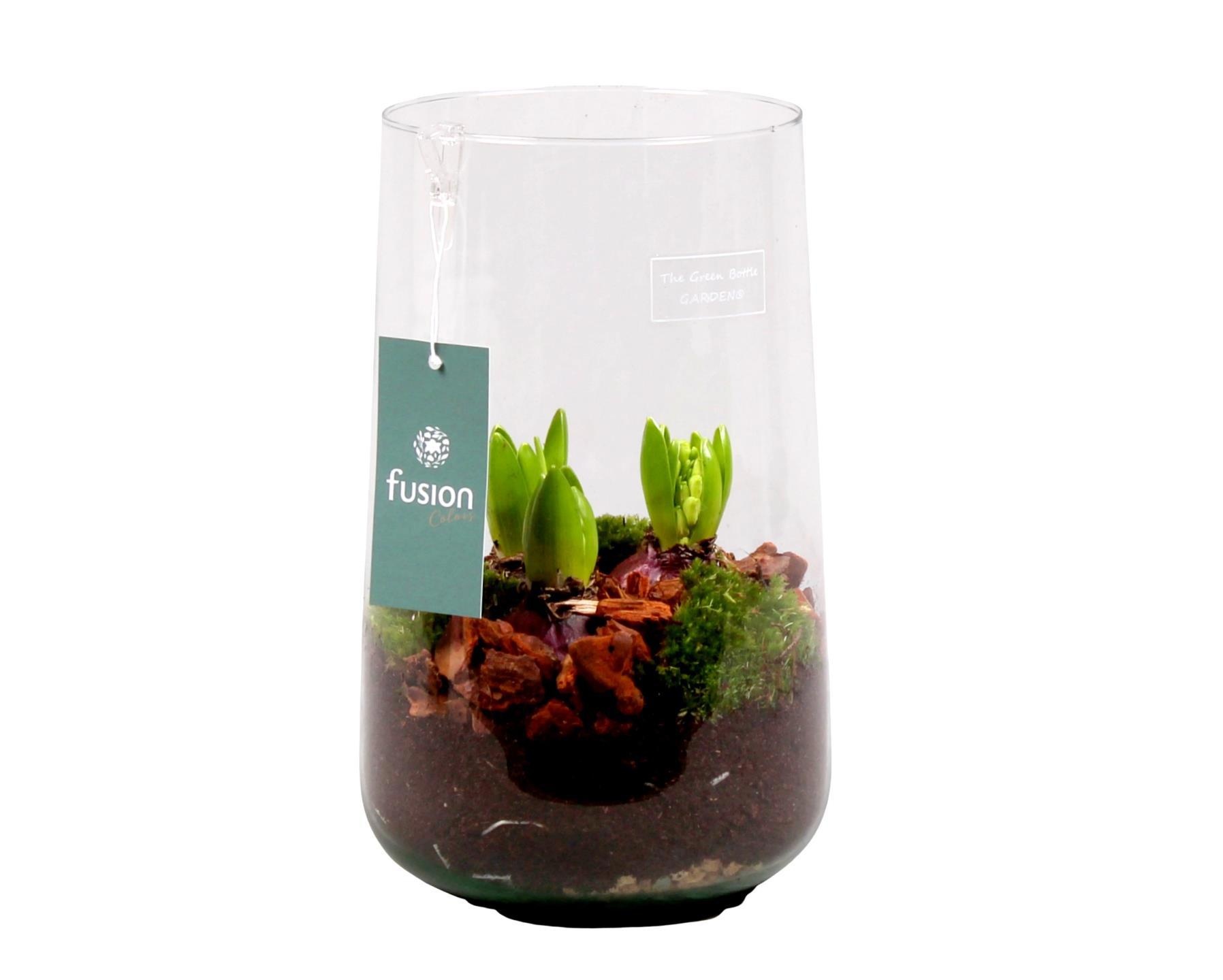 Green Bottle Deline Large met Hyacint, D 15