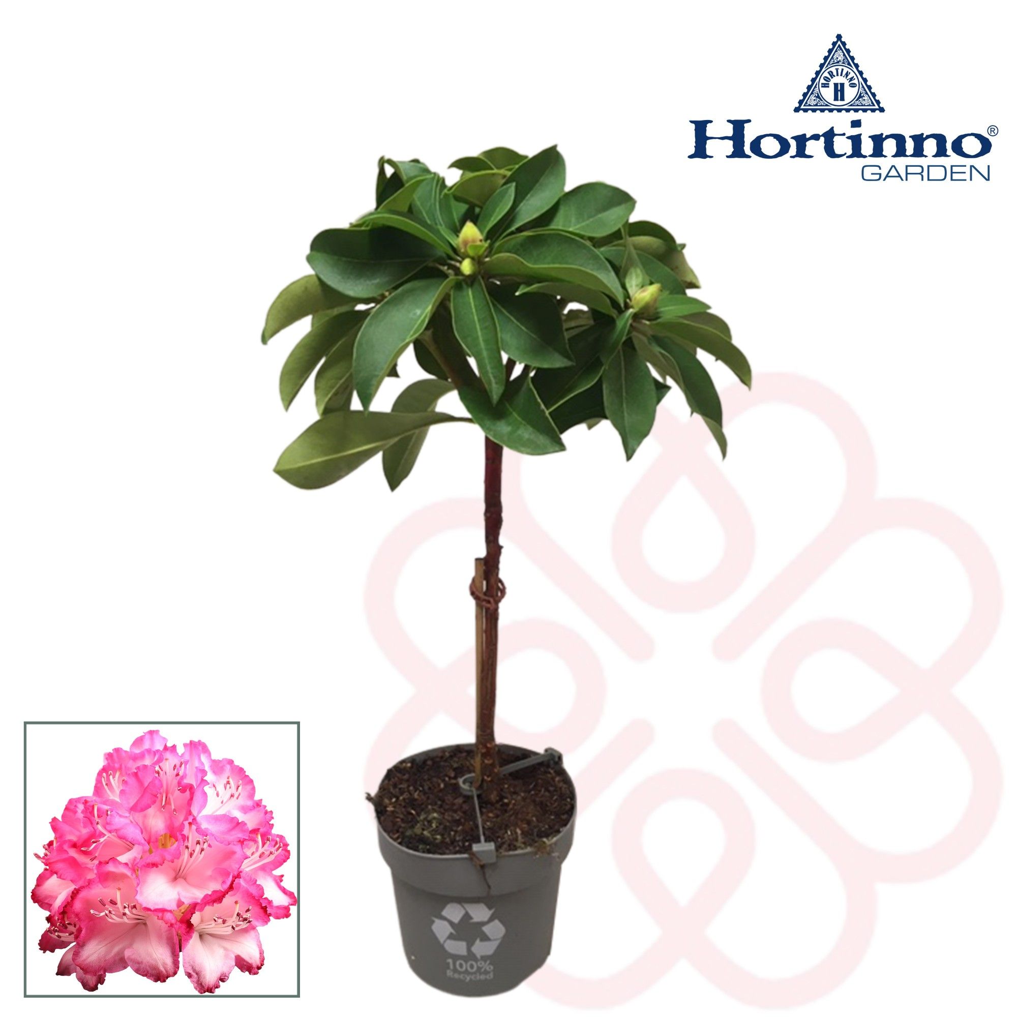 Hortinno® Garden XXL The Original groen stam 25 cm, D 19 cm