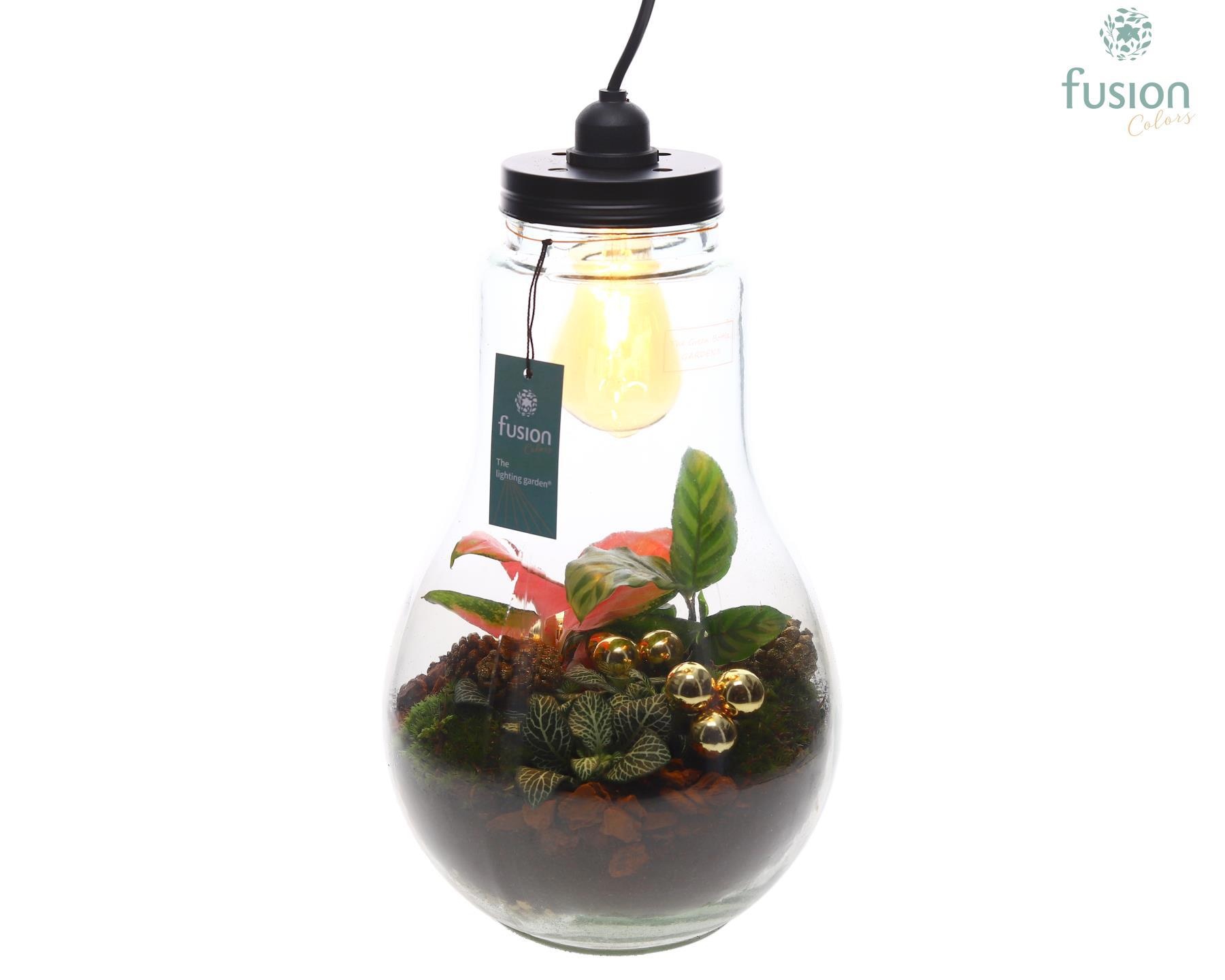 Glas Terrarium XXL met verlichting met Kerst Arrangement, D 24