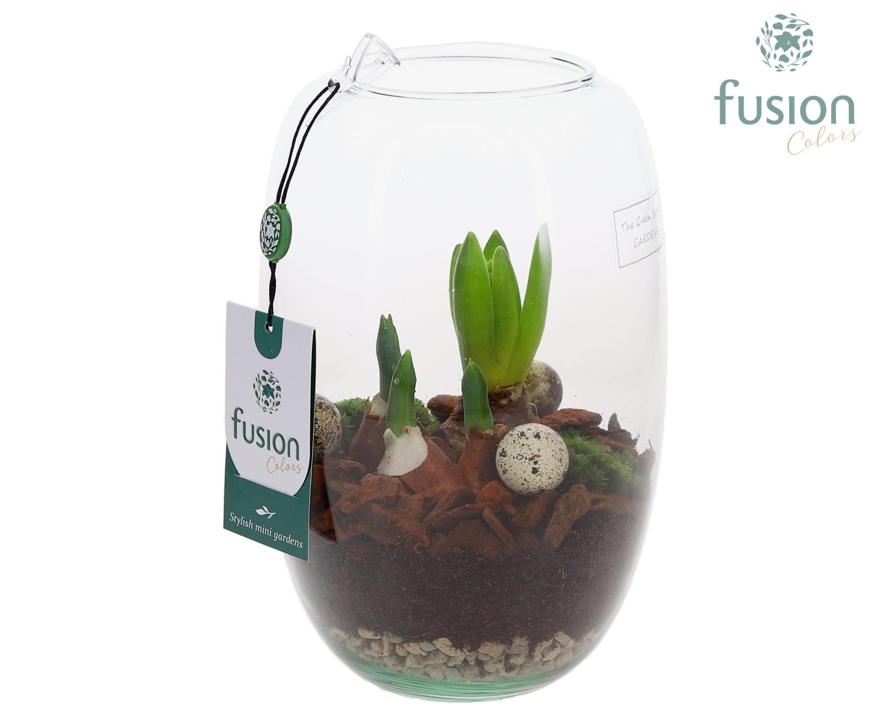 Green Bottle Isabella Small Pasen met Bollen mix, D 15