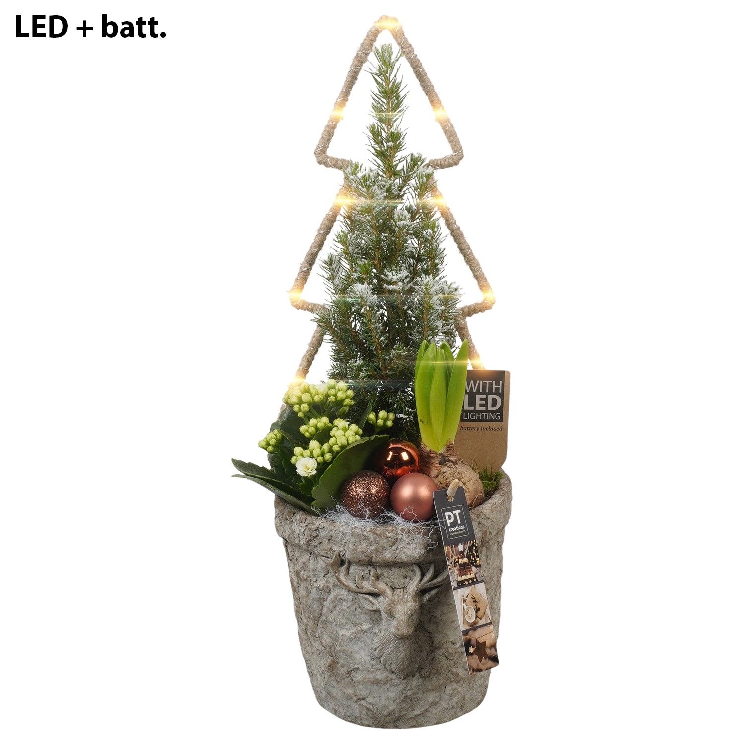 PTCHB9775 Arrangement Christmas Bronze in beton pot, D 17 cm
