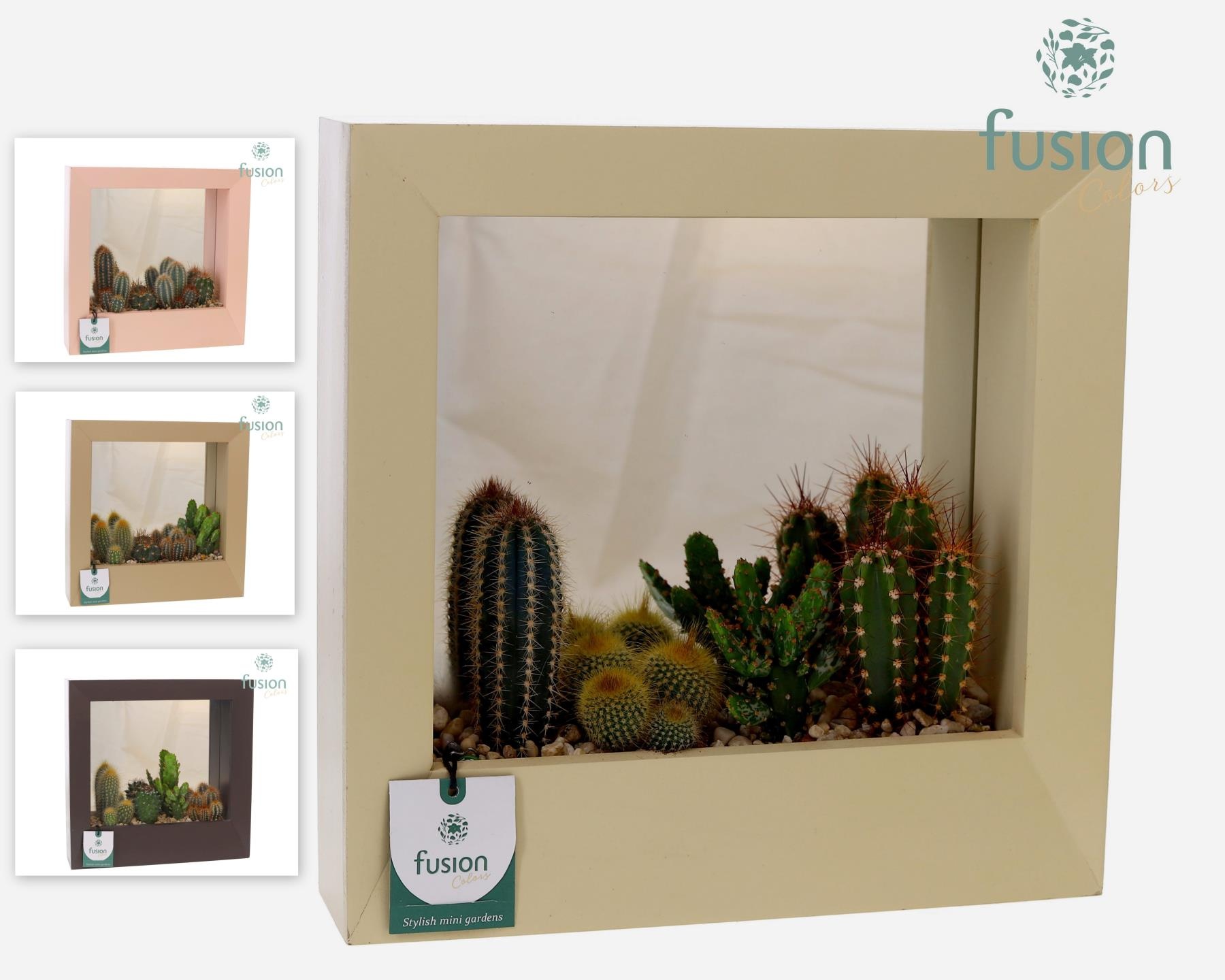 Schilderij Large met Cactussen, D 29 cm Schilderij Large met Cactussen, D 29 cm