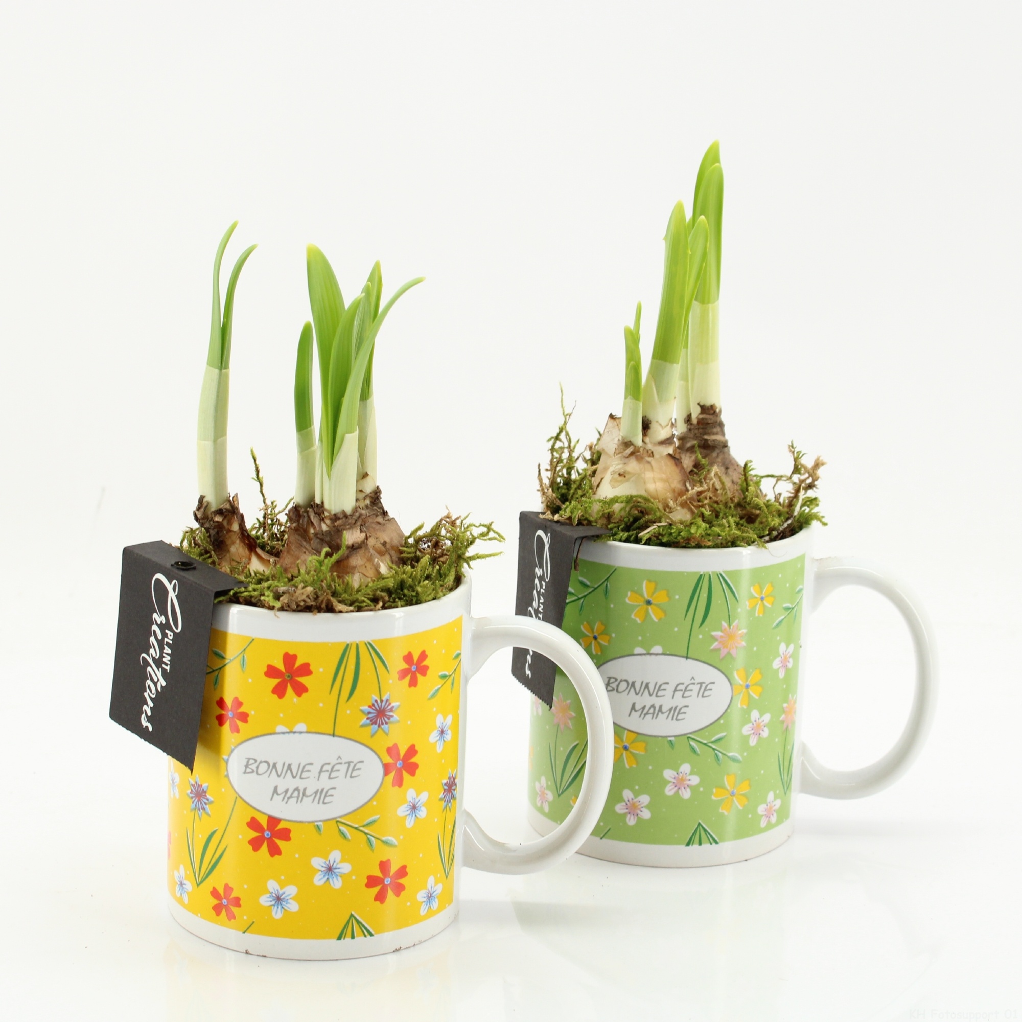 FGCR-2607 Fête des grands-mères, D 11