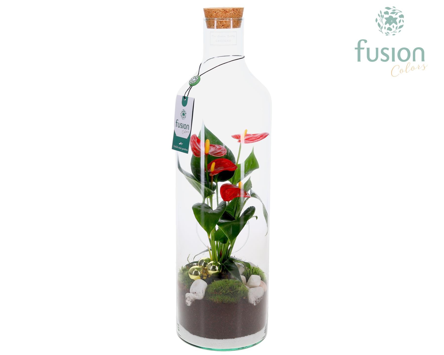 Green Bottle Fles Large Kerst met Anthurium, D 15 cm