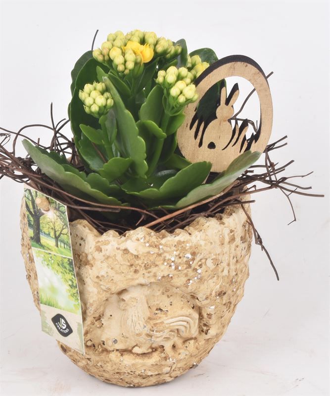 Cement ei kip decor 11cm, D 11