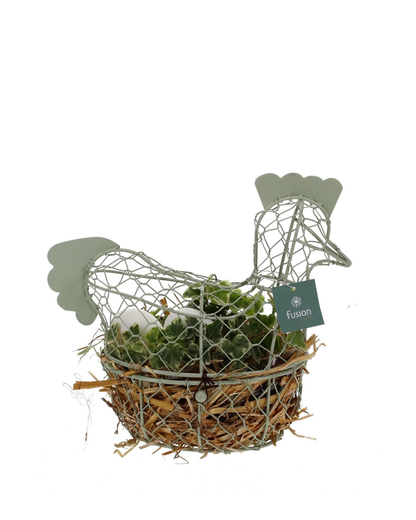 Pasen metalen kip met hedera, D 25