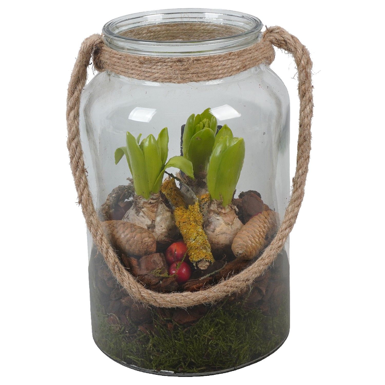 PTWH7610 Arrangement Winter Hyacint in glas vaas, D 16 cm