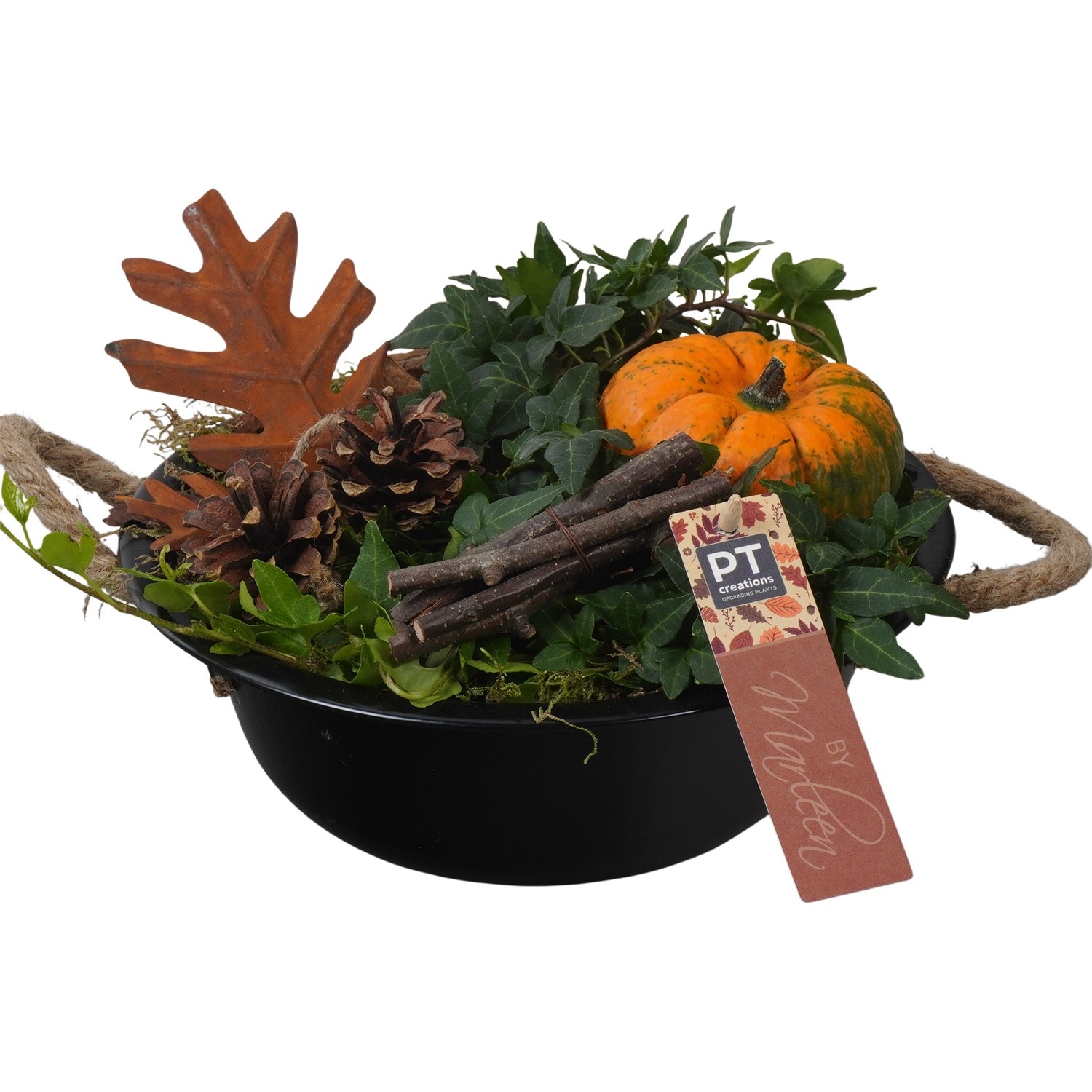 PTSF8207 Arrangement Kalebas hedera in metalen schaal, D 24 cm