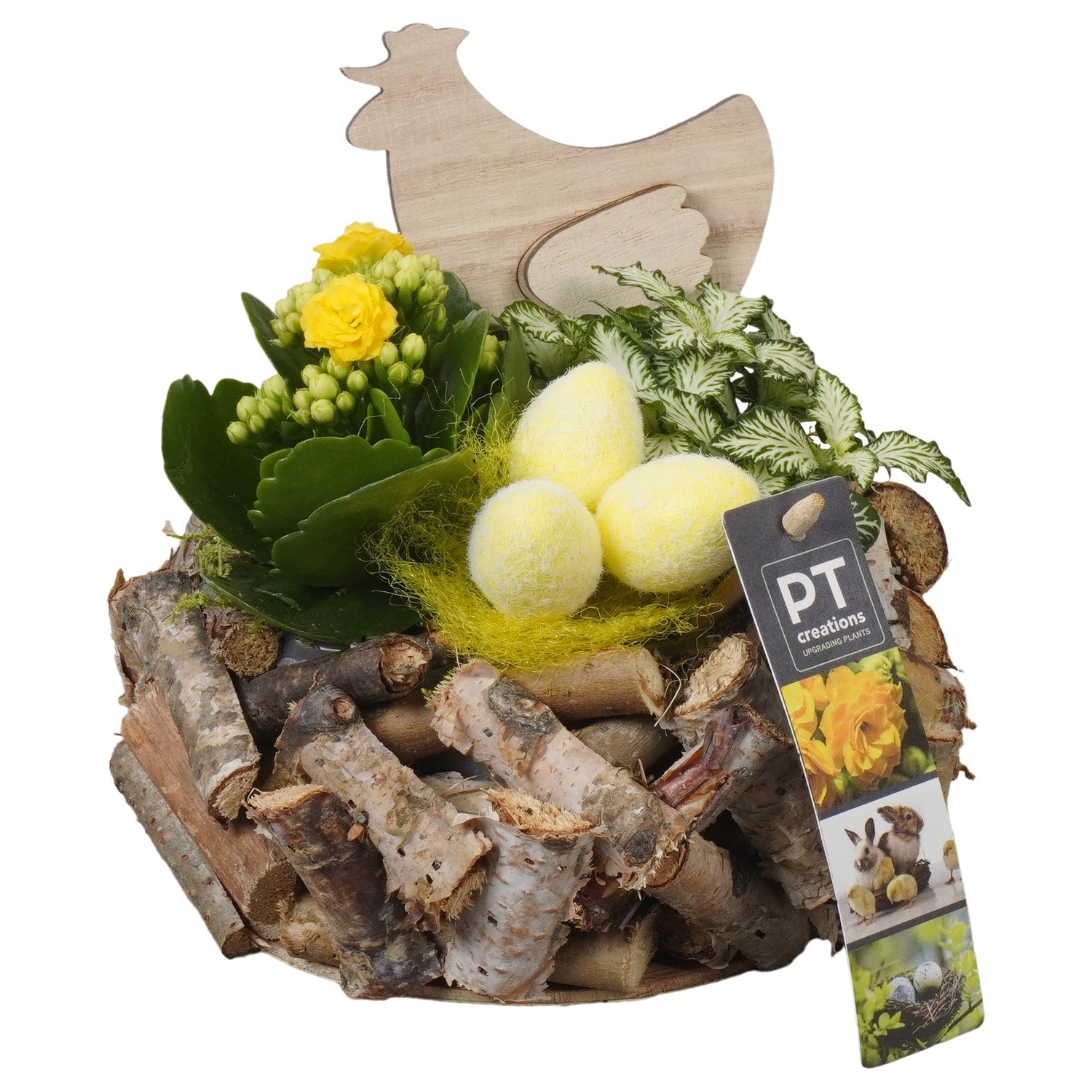 PTPB6585 Arrangement Easter in houten bak, D 20