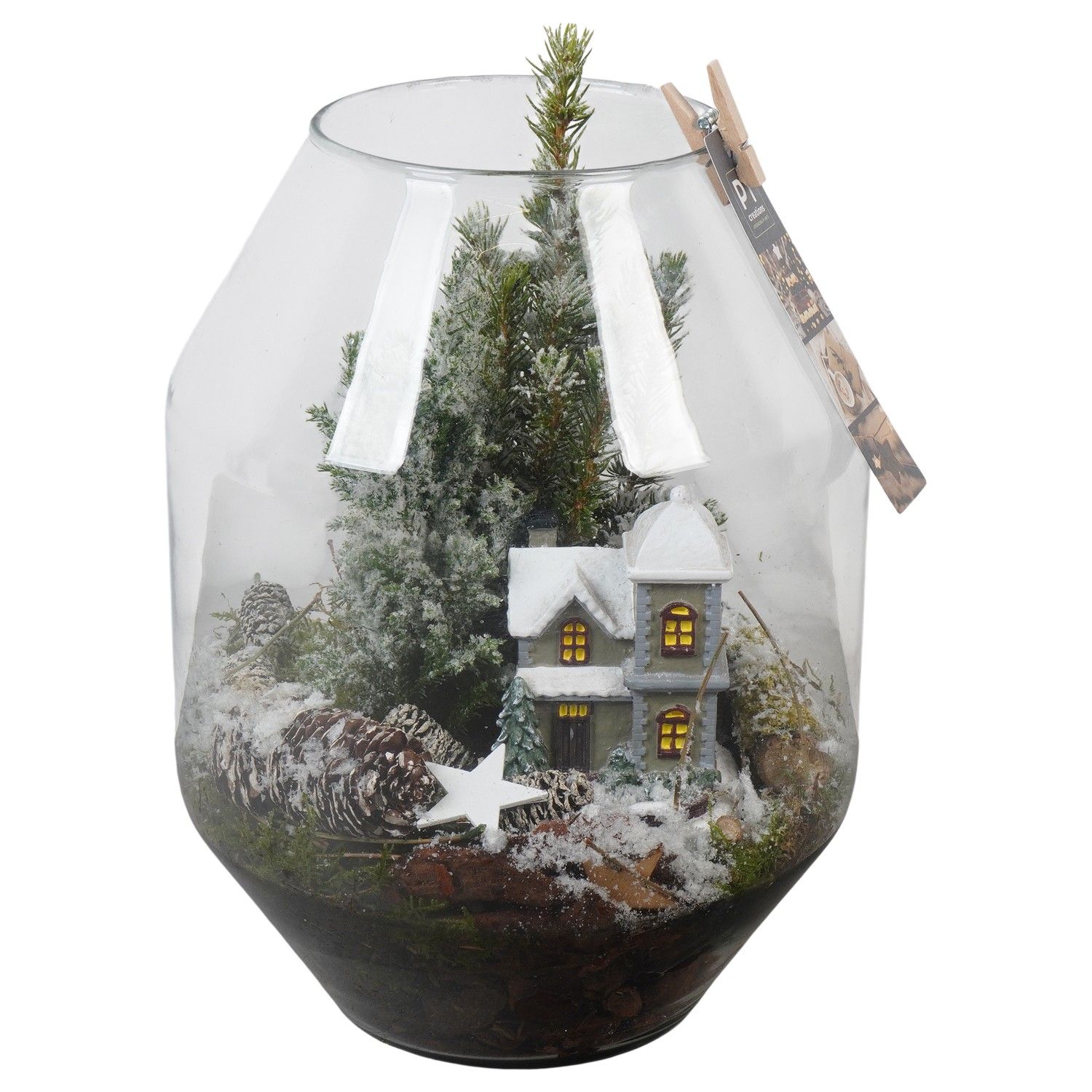 PTCWW6840 Arrangement Winter in glazen vaas, D 19 cm