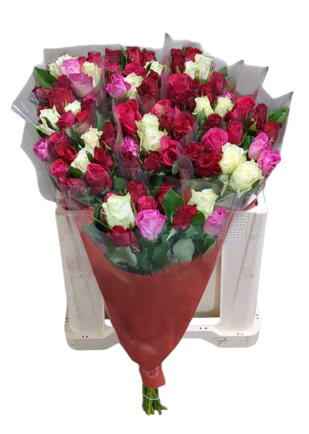 Роза од. Микс в пачке 50, шт.