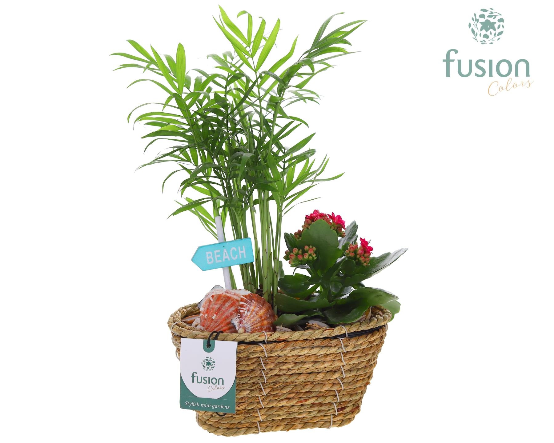 Mand zeegras ovaal Maritiem met Arrangement, D 18