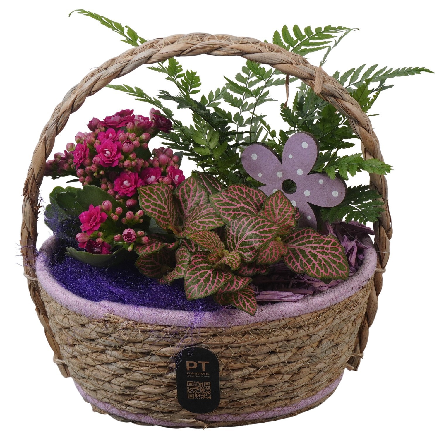 PTIB5249 Arrangement Indoor in rieten hengselmand, D 20