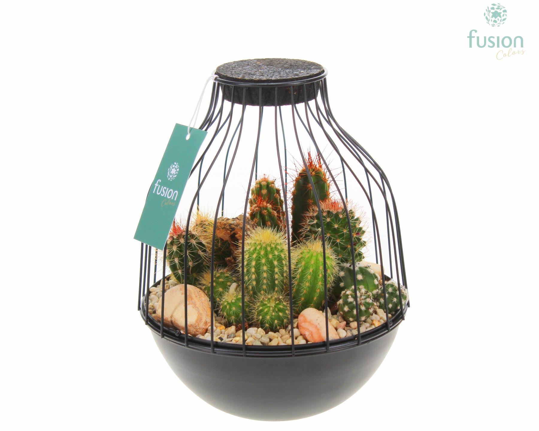 Vogelkooi metaal zwart Medium met Cactussen, D 19