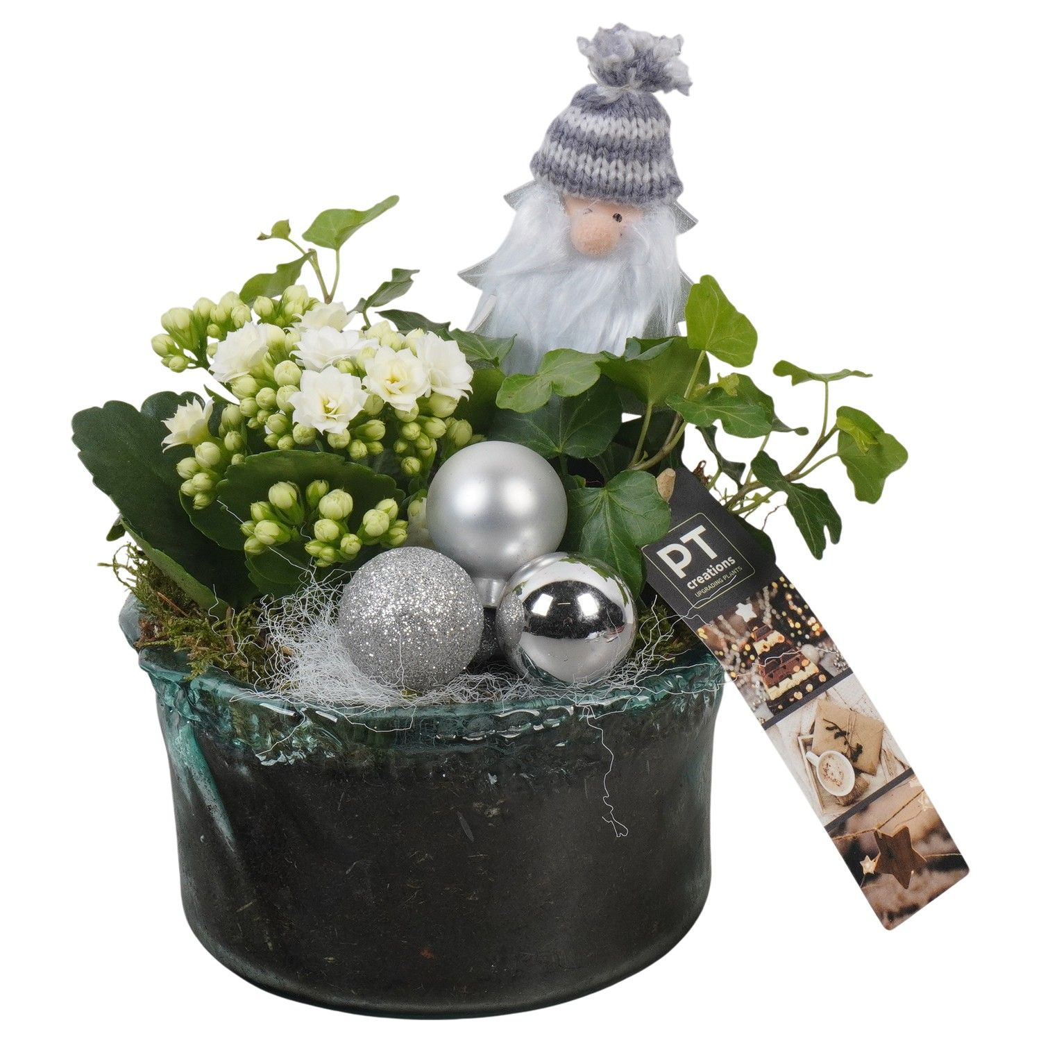 PTCHW4365 Arrangement Christmas White in glas schaal, D 14 cm