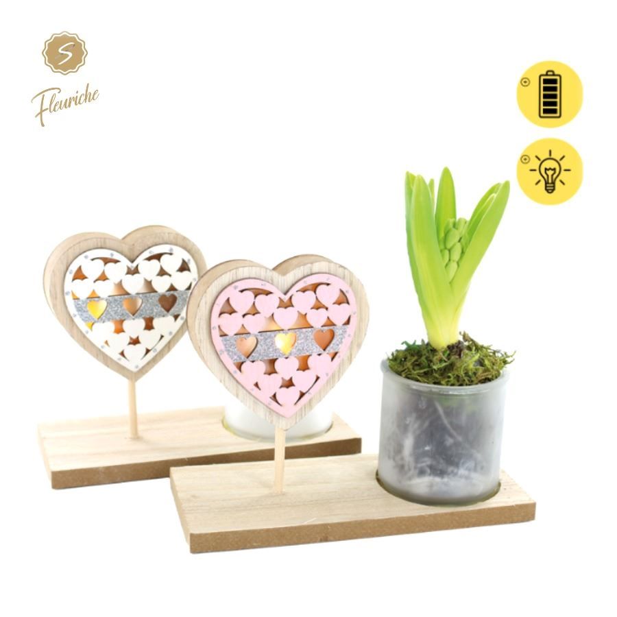 (9701) Hyacint Pink Valentijn 1PP, D 19 cm