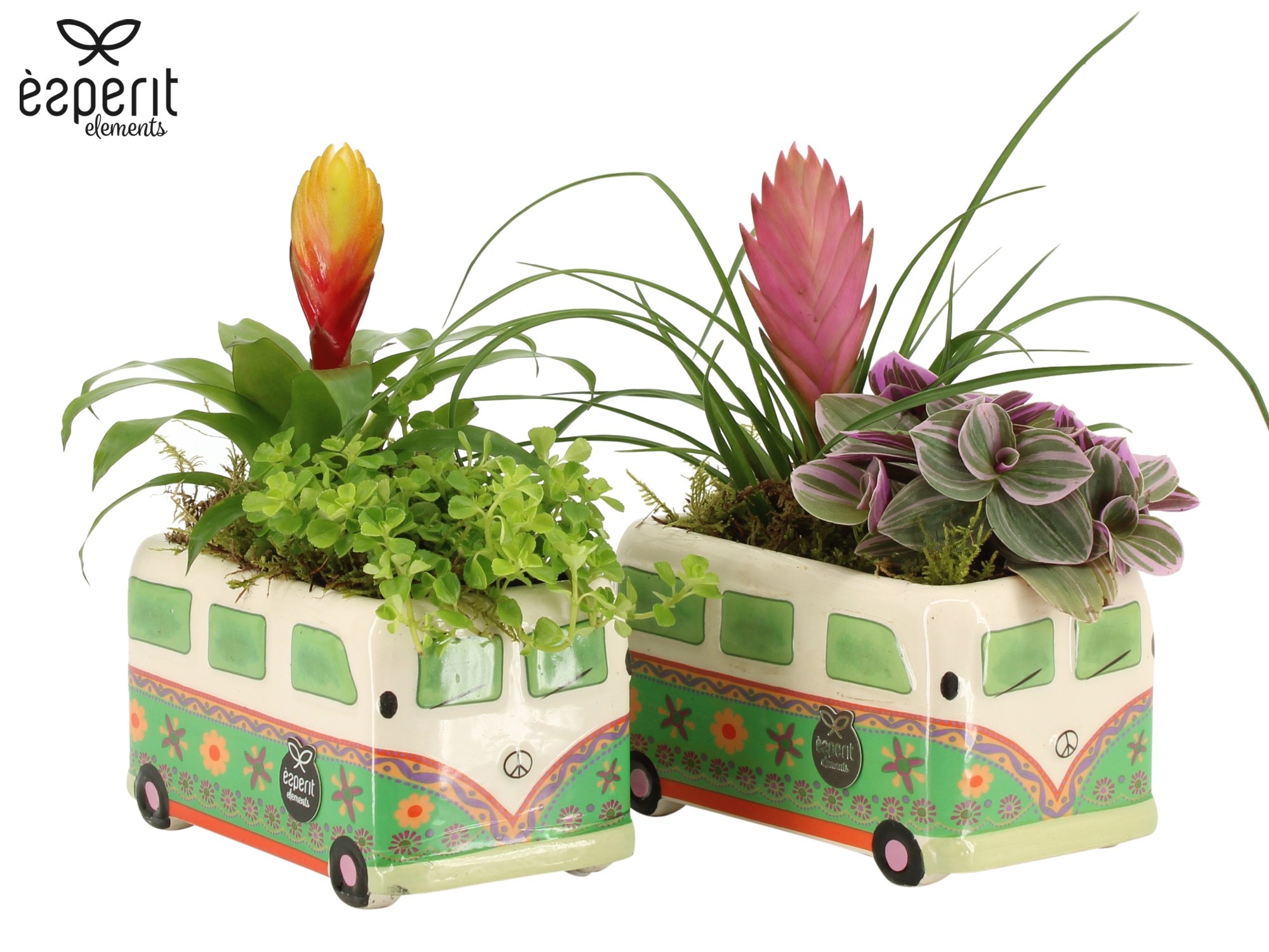 31804: Reinvention arrangement, D 15