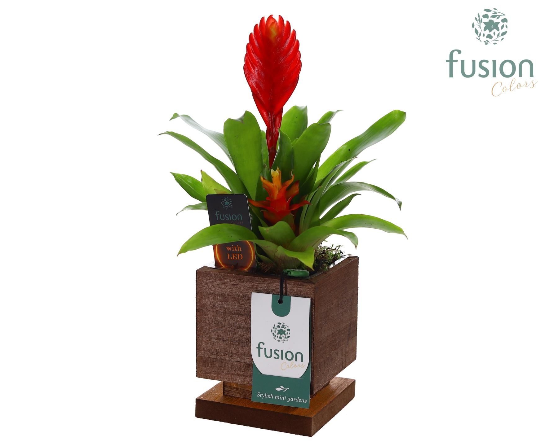The Green Lighting Garden LED Small met Bromelia, D 10
