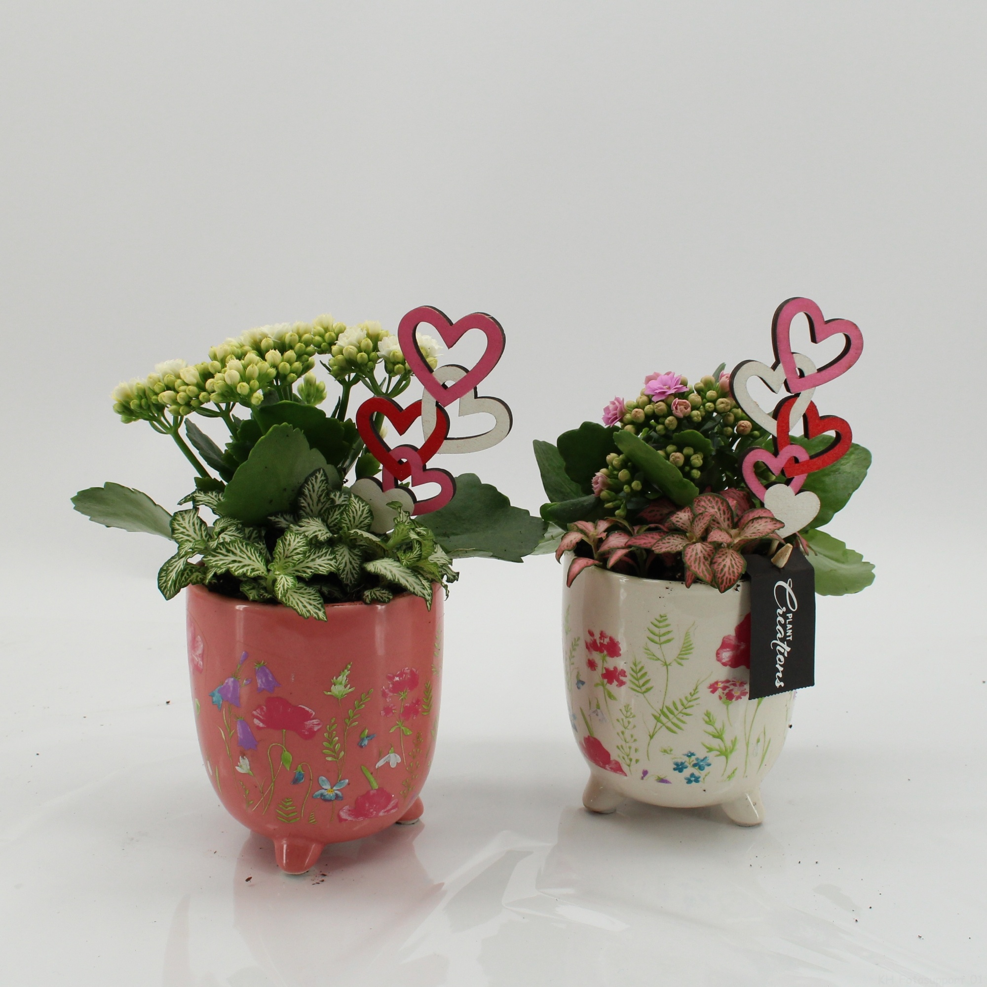 RMCR-2632M Romantic Essentials, D 11