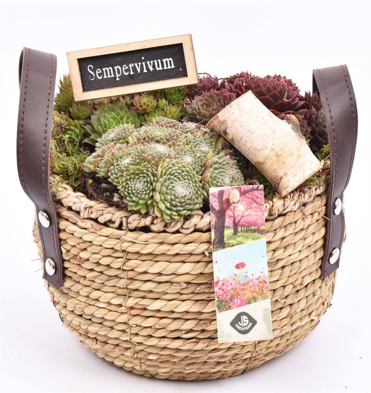 Jute mand met rand 18cm, D 20