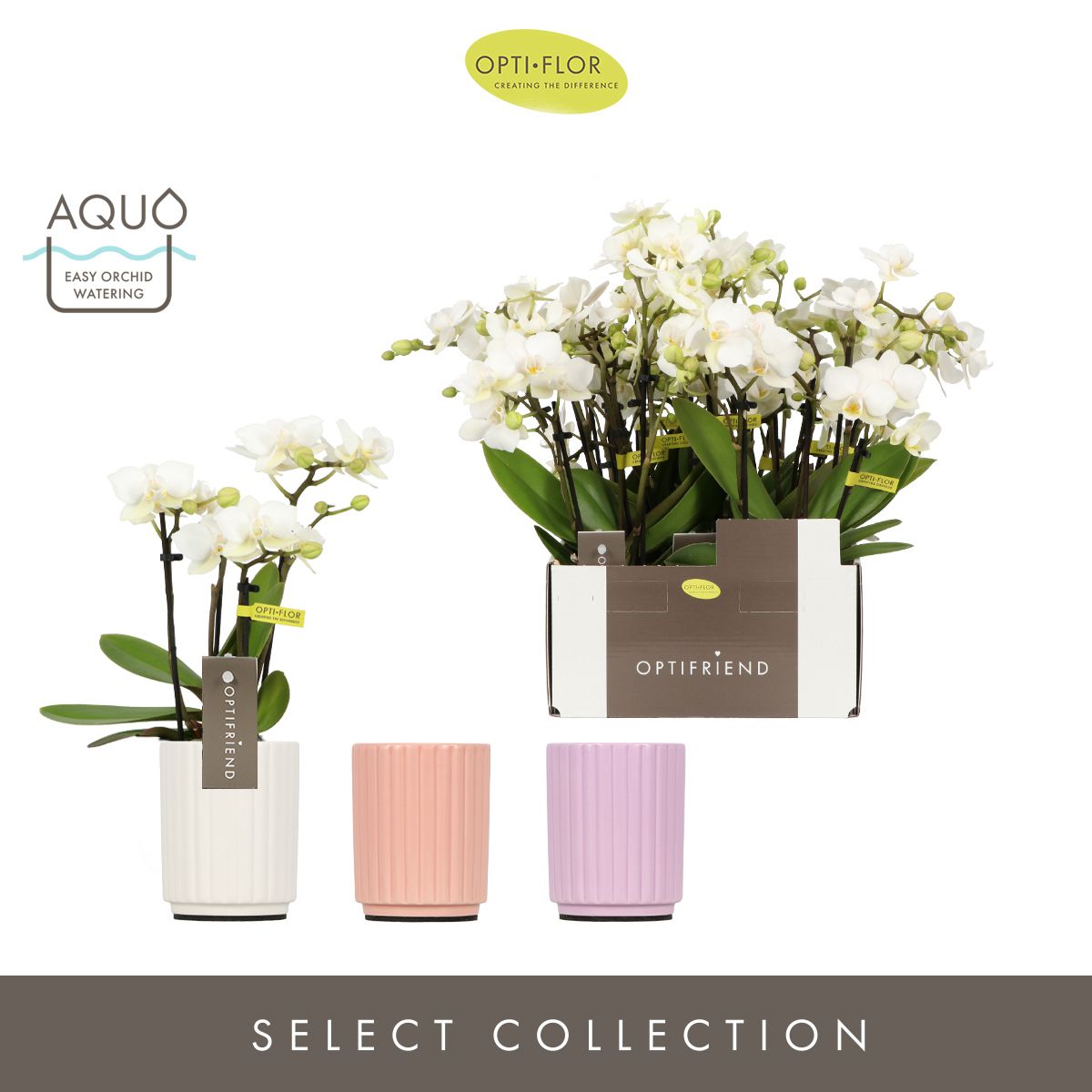 Optifriend Sandra 4 spike in Molise Mix Aquo, D 7 cm