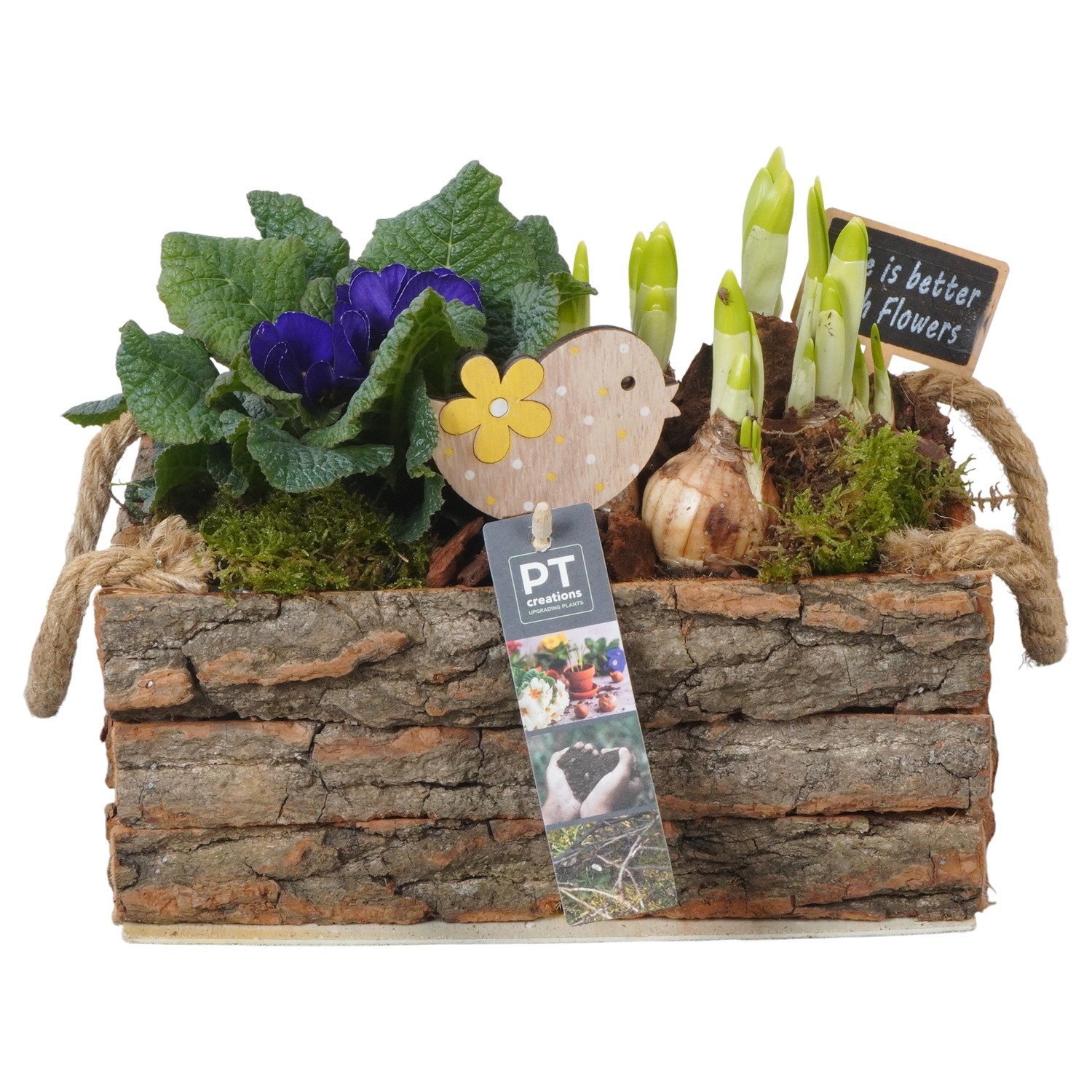 PTBM3913 Arrangement Flower Bulbs Mix in houten rechthoek pot, D 25