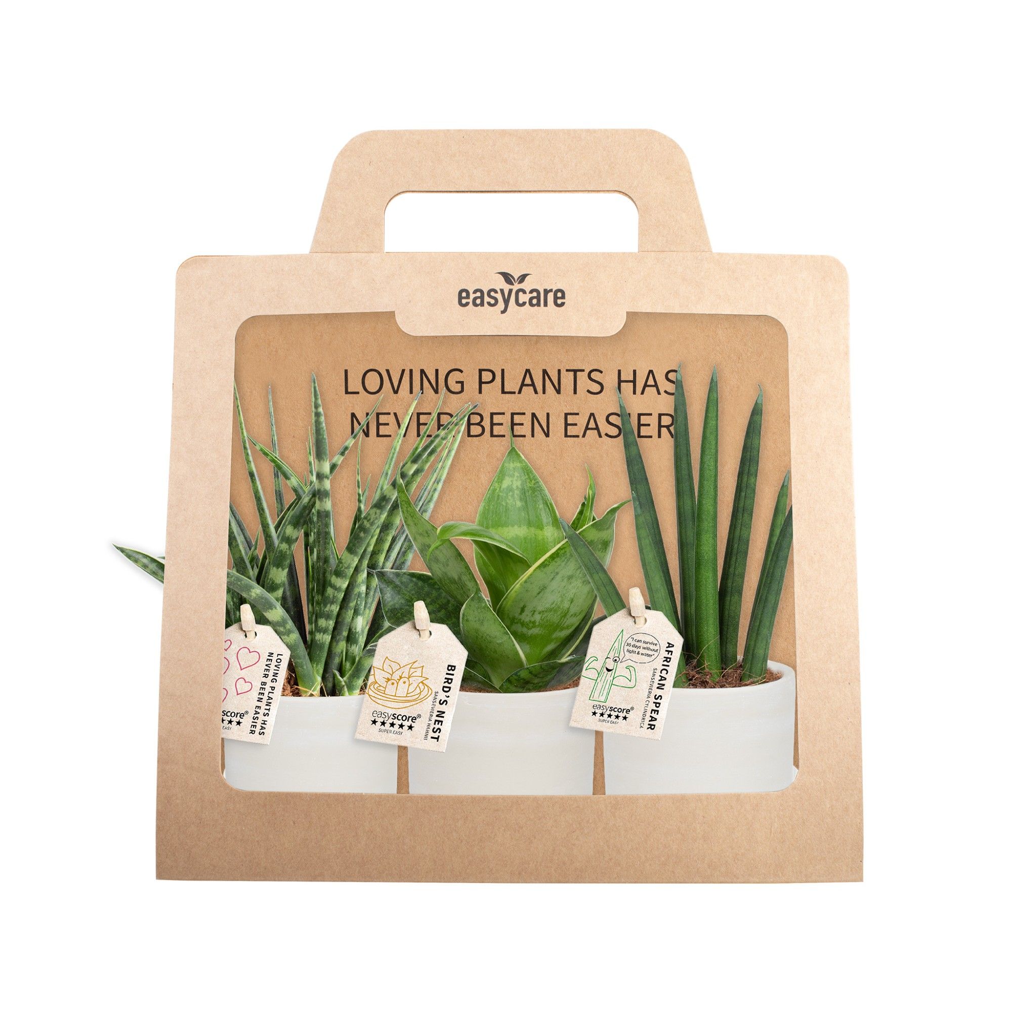 3-Pack Raw Grey, D 7