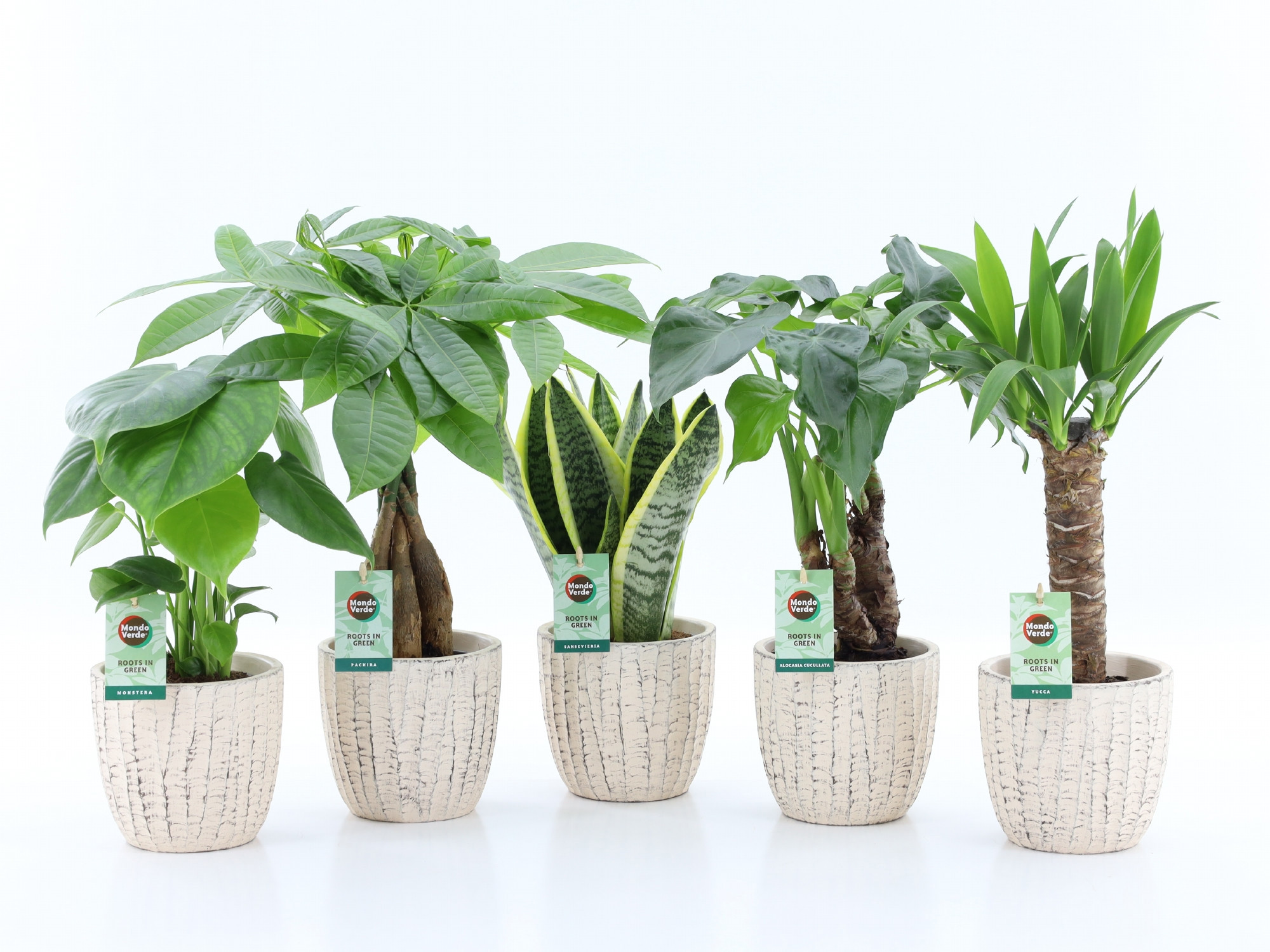 Tropic Mix in Sculpture keramiek, D 13