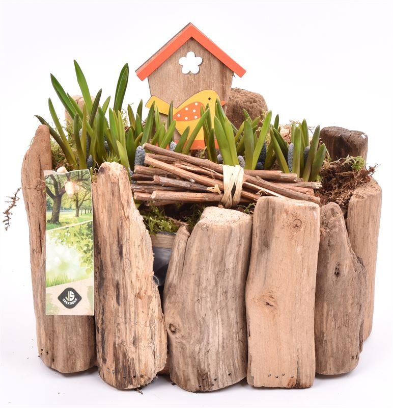 Druivenhout ovaal 21x14.5cm, D 21