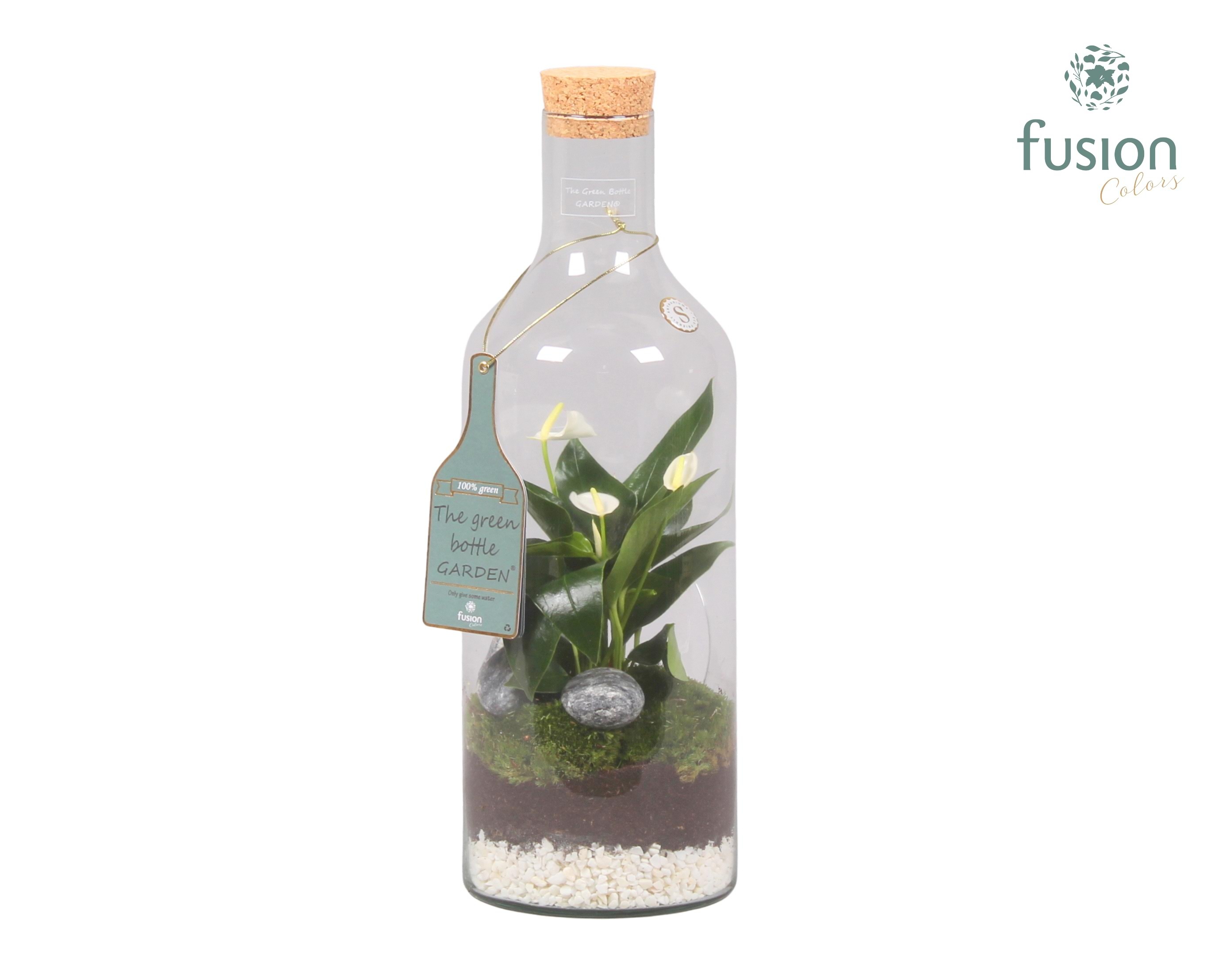 Green Bottle Fles Medium met Anthurium, D 15