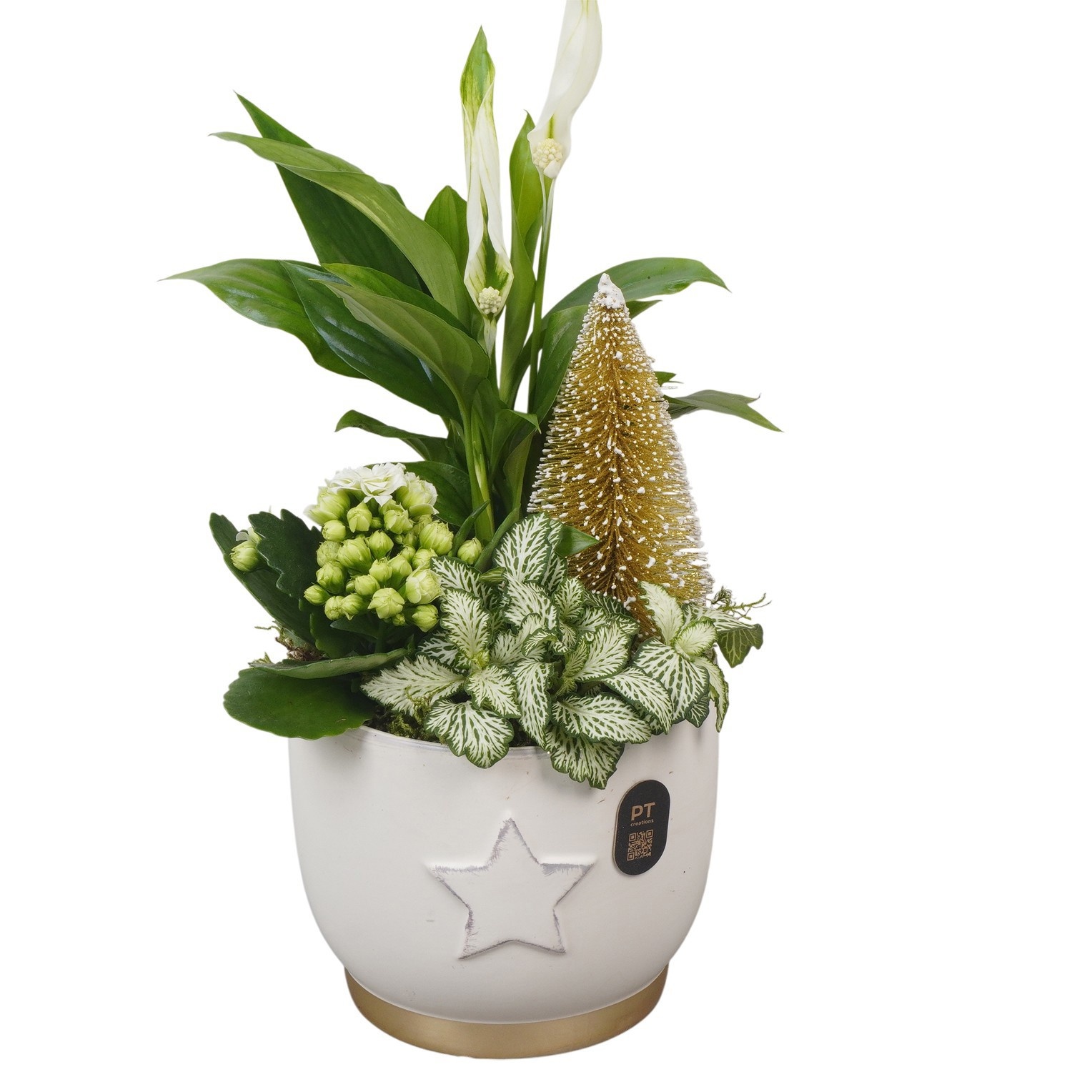 PTCHG4662 Arrangement Christmas Gold in keramiek pot, D 13