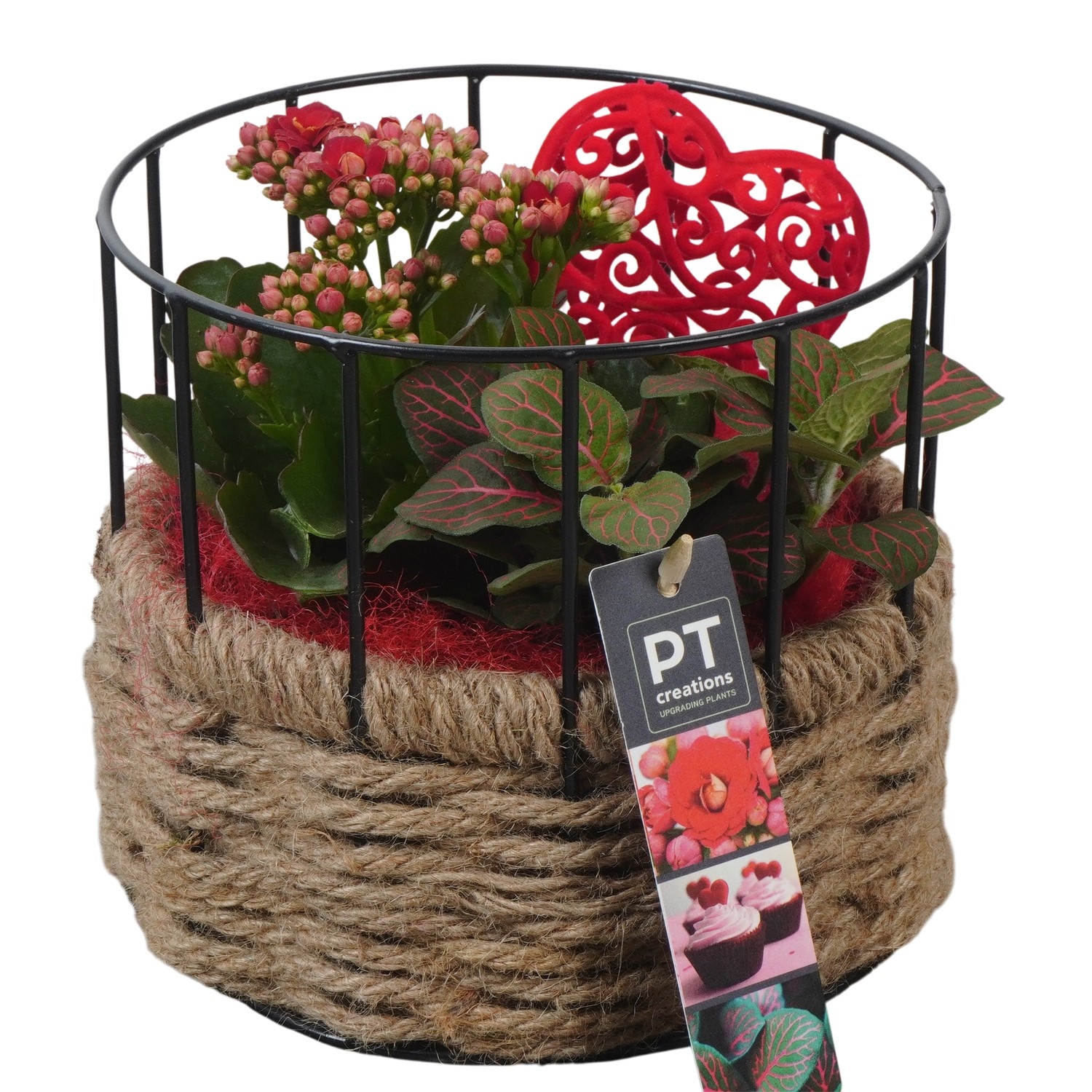 PTVMB2352 Arrangement Valentines-Mothersday in touw pot, D 17