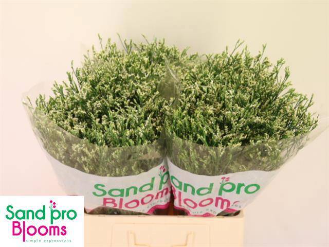 Лимониум Кул Даймонд 60, шт.