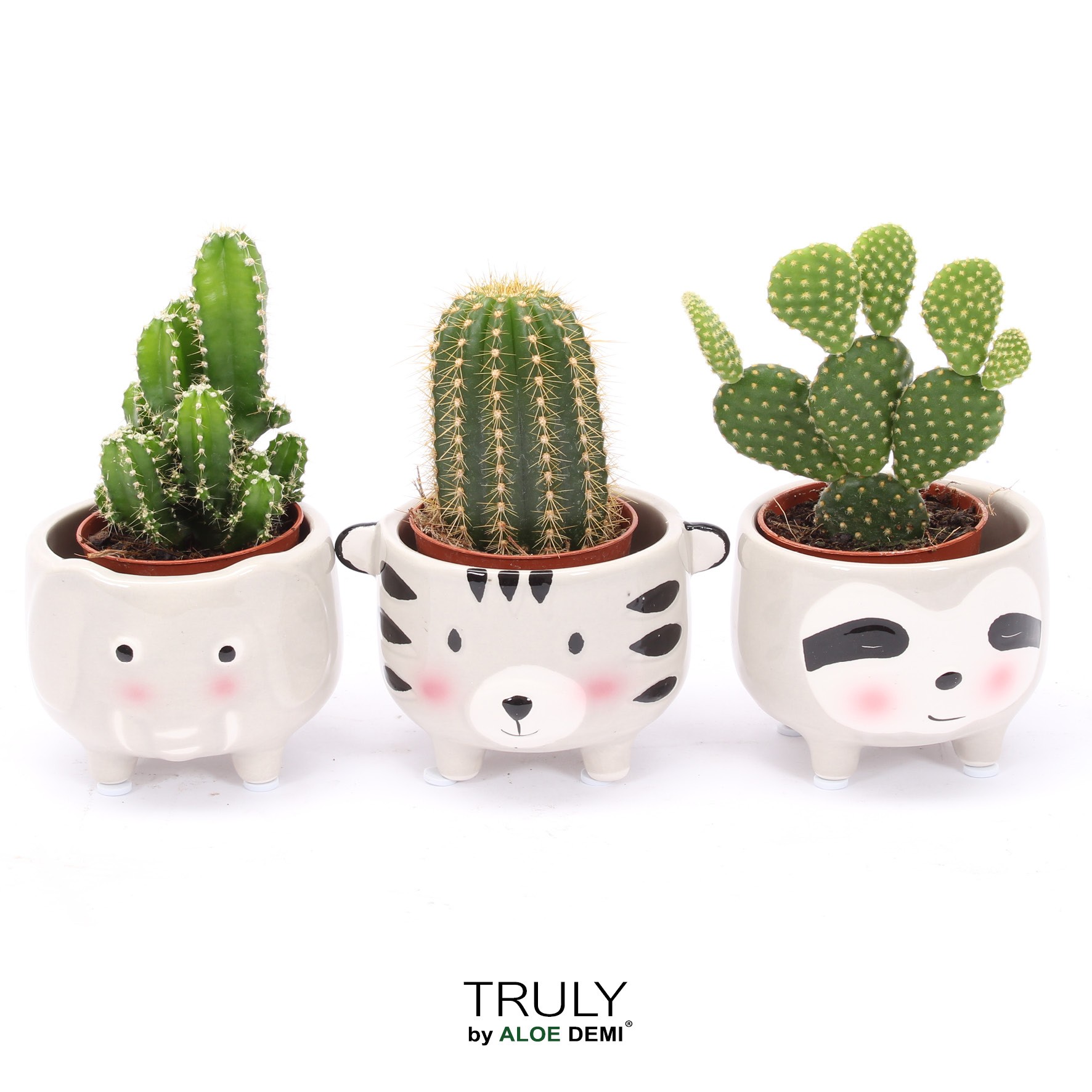 TRULY Cactus, Animal Grey, D 7