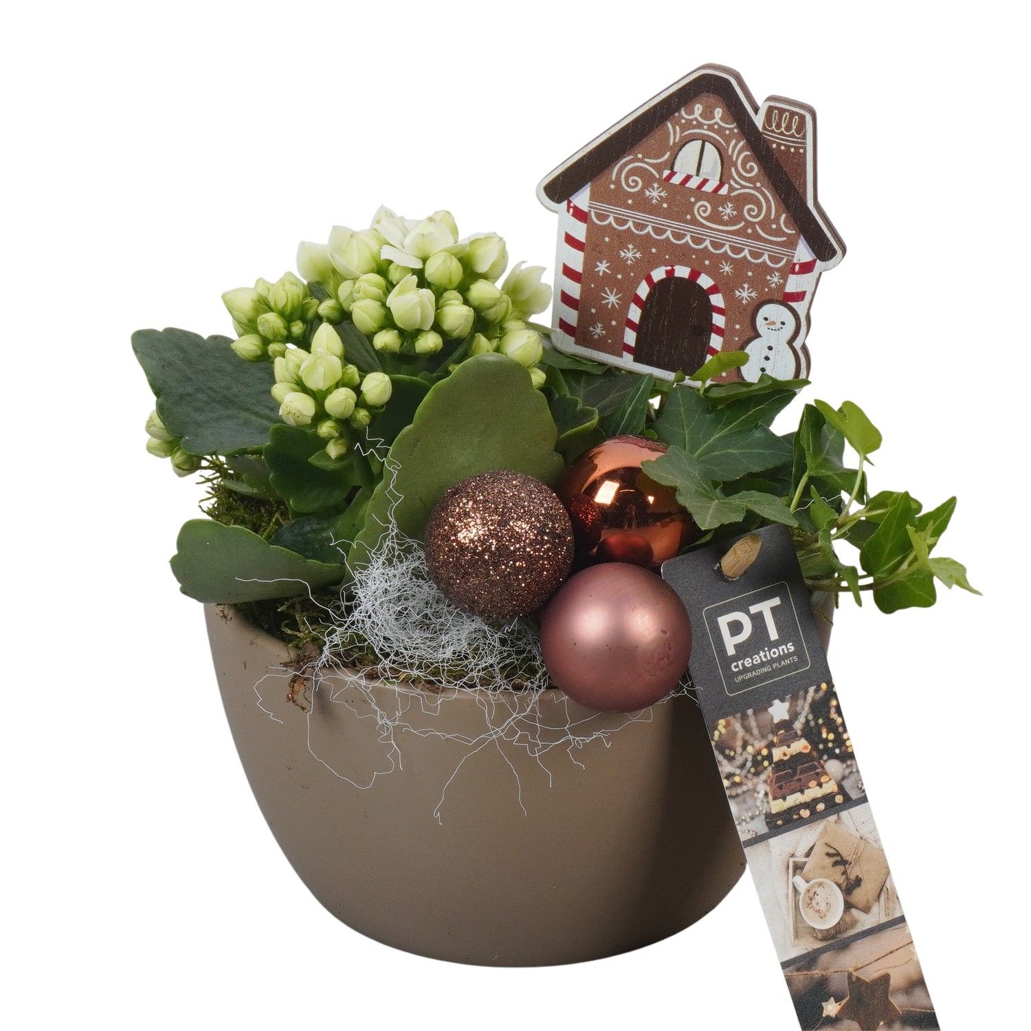 PTCHB9725 Arrangement Christmas Bronze in keramiek schaal, D 14 cm