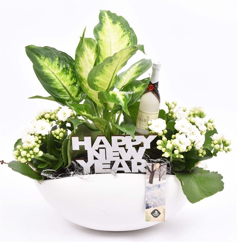 Keramiek kano wit 25x16 cm, D 24