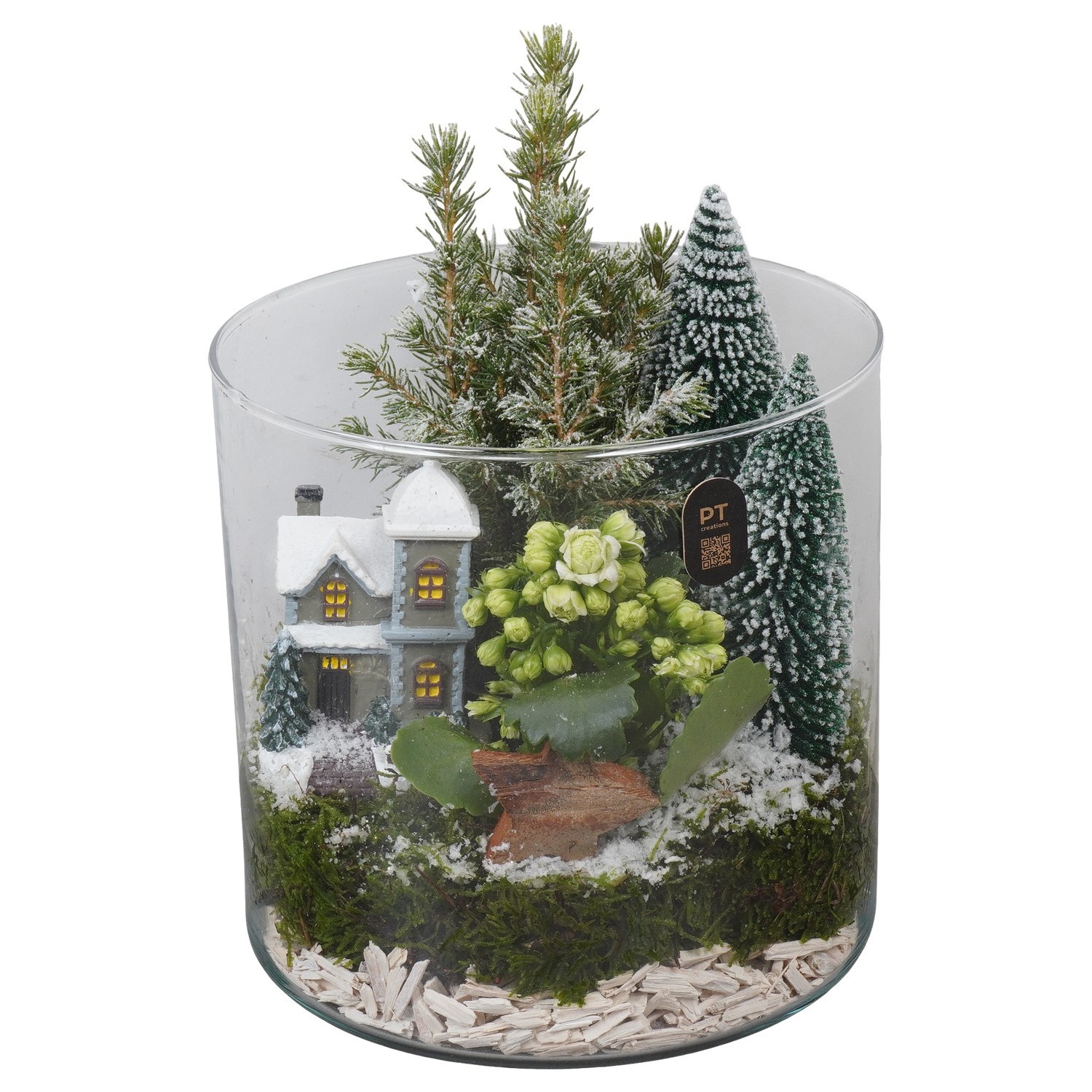 PTCHGR1919 Arrangement Christmas Green in glazen cylinder, D 19