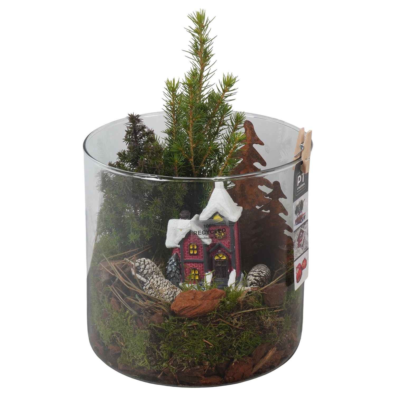 PTCWW6819 Arrangement Winter in glazen vaas, D 19 cm