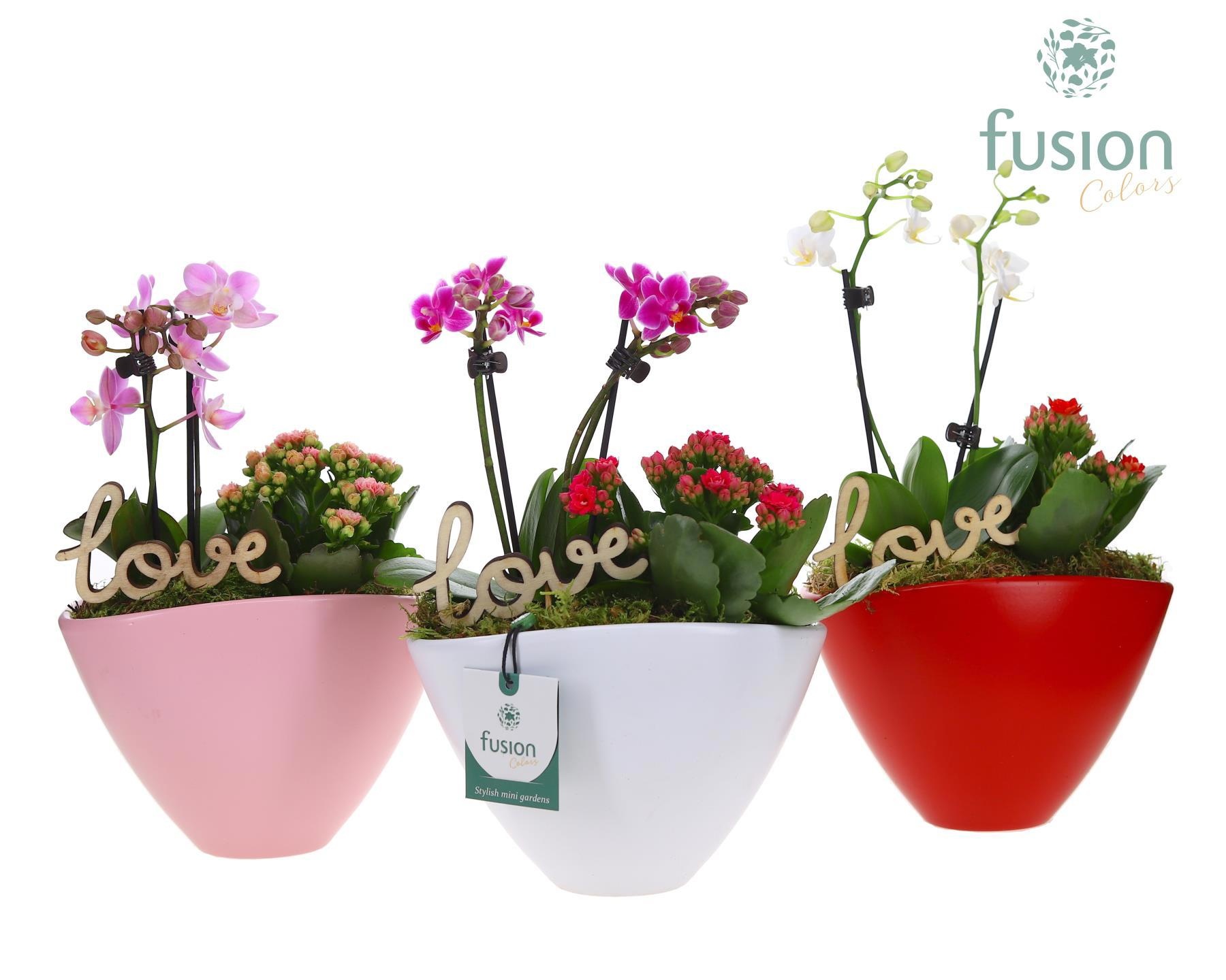 Pot keramiek ovaal Medium met Arrangement, D 18