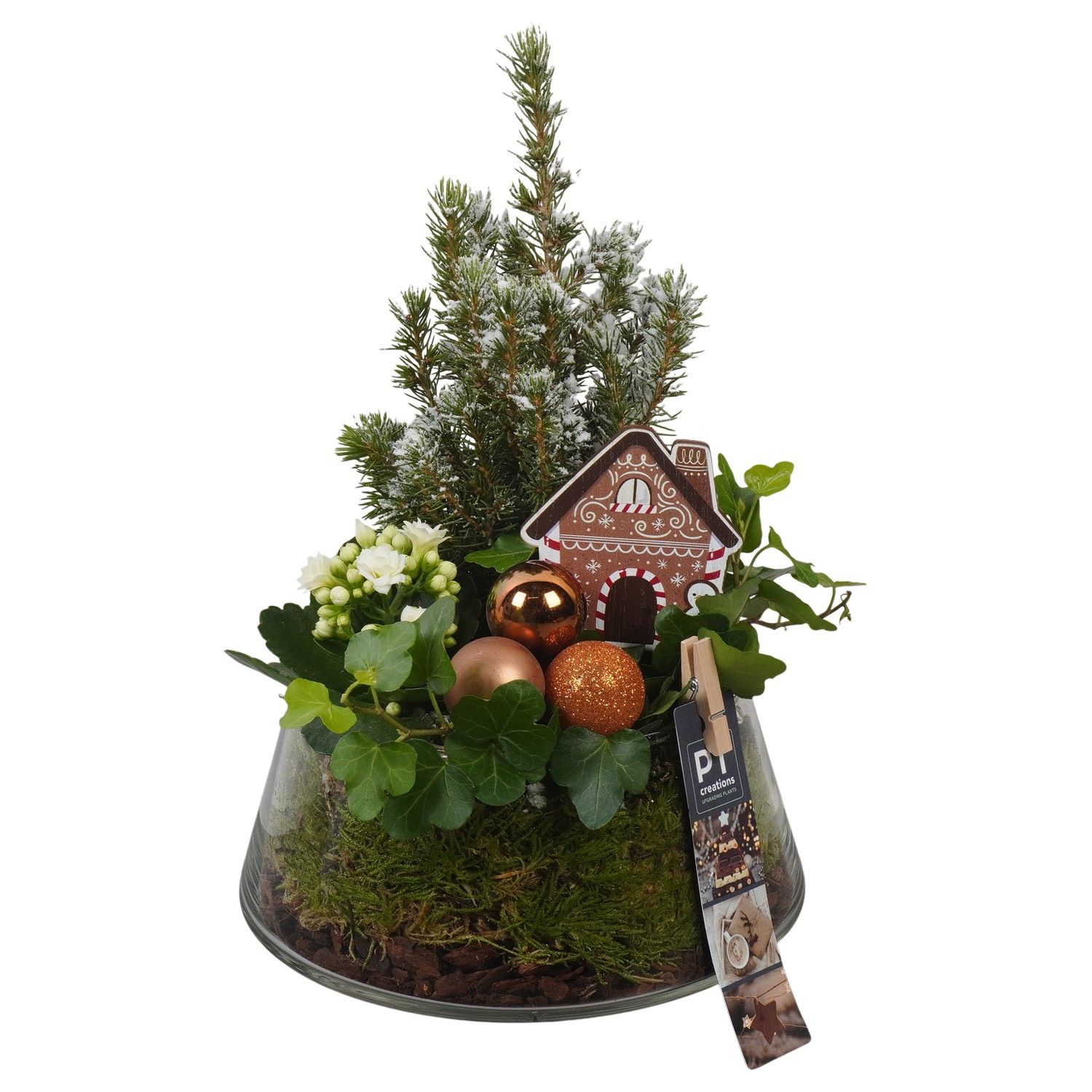 PTCHB9883 Arrangement Christmas Bronze in glazen pot, D 18 cm
