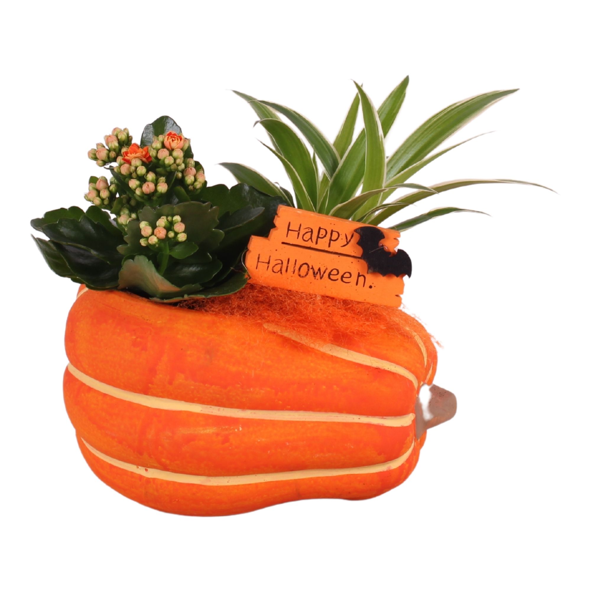 Halloween Arr. Indoor Ceramic Pumpkin Ø21cm 2PP, D 21 cm Halloween Arr. Indoor Ceramic Pumpkin Ø21cm 2PP, D 21 cm