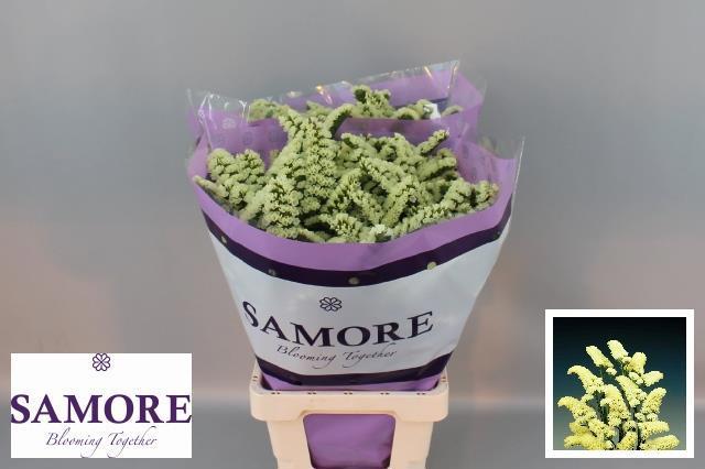 Статица Еллоу Сан Бердс 80, шт.