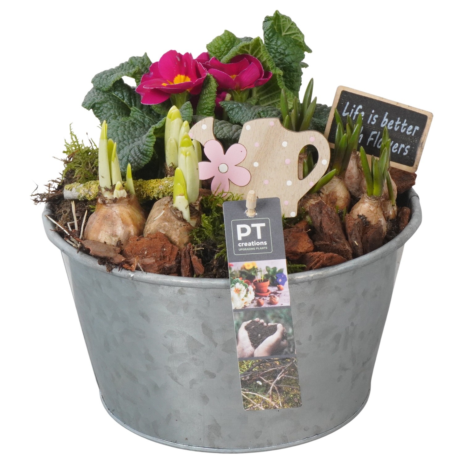 PTBM3800 Arrangement Flower Bulbs Mix in metalen pot, D 22