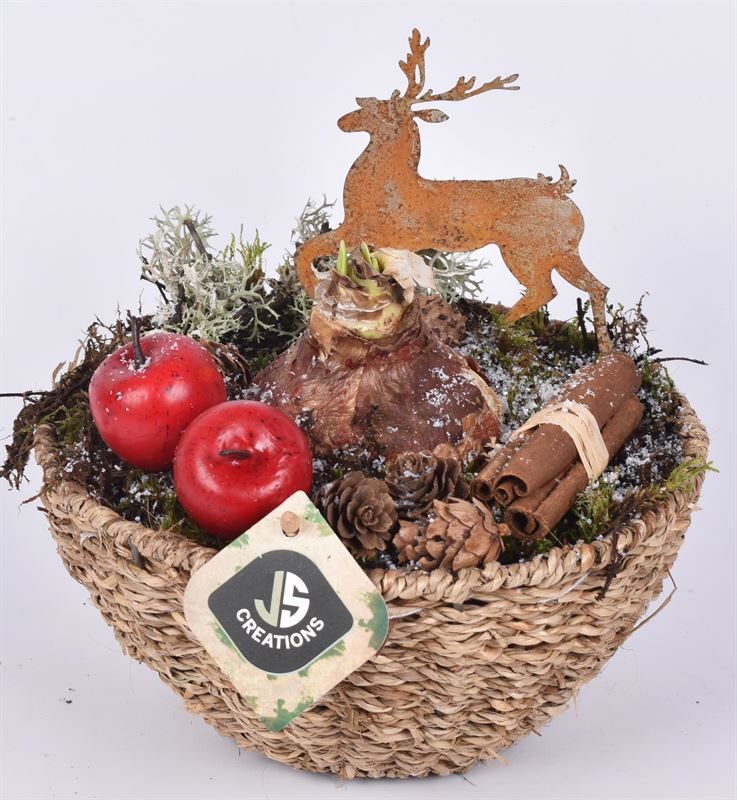 Touw schaal 20cm, D 20 cm