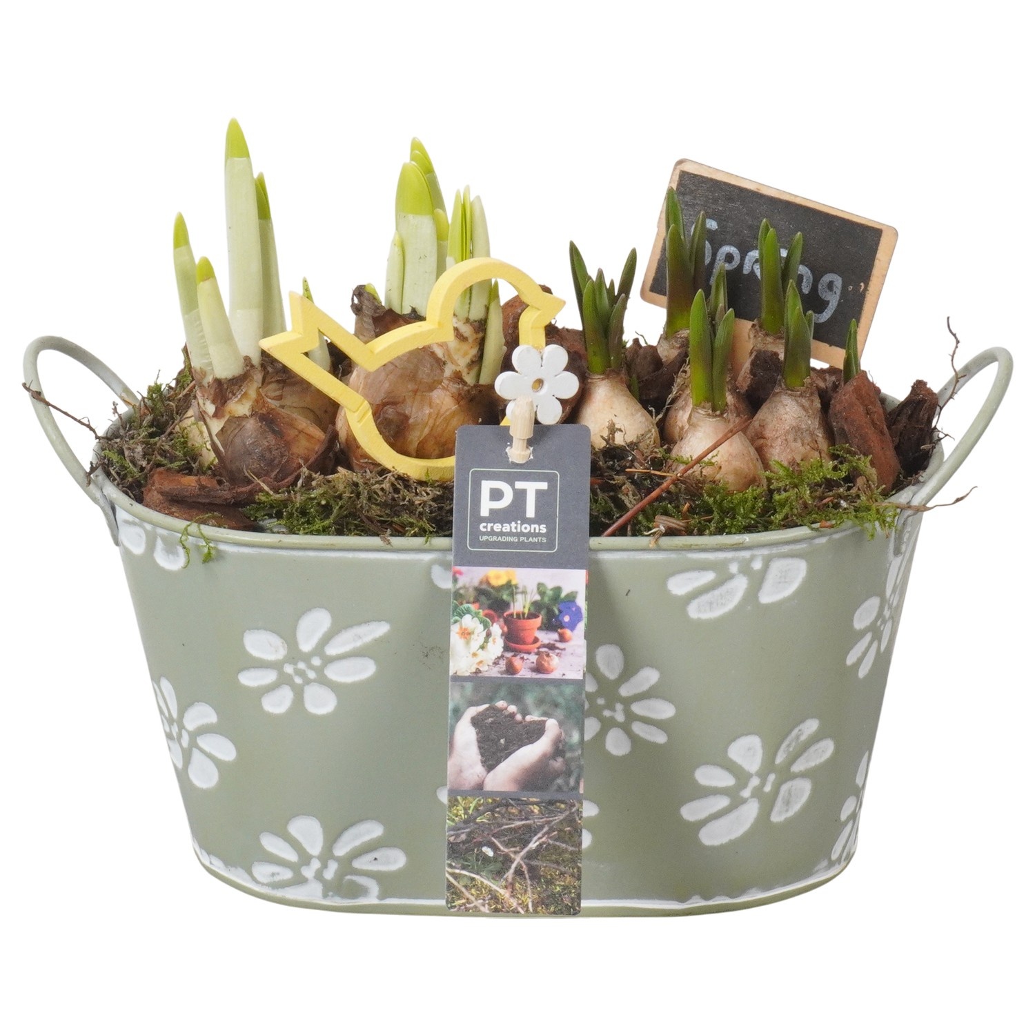 PTBM3759 Arrangement Flower Bulbs Mix in metalen pot, D 20