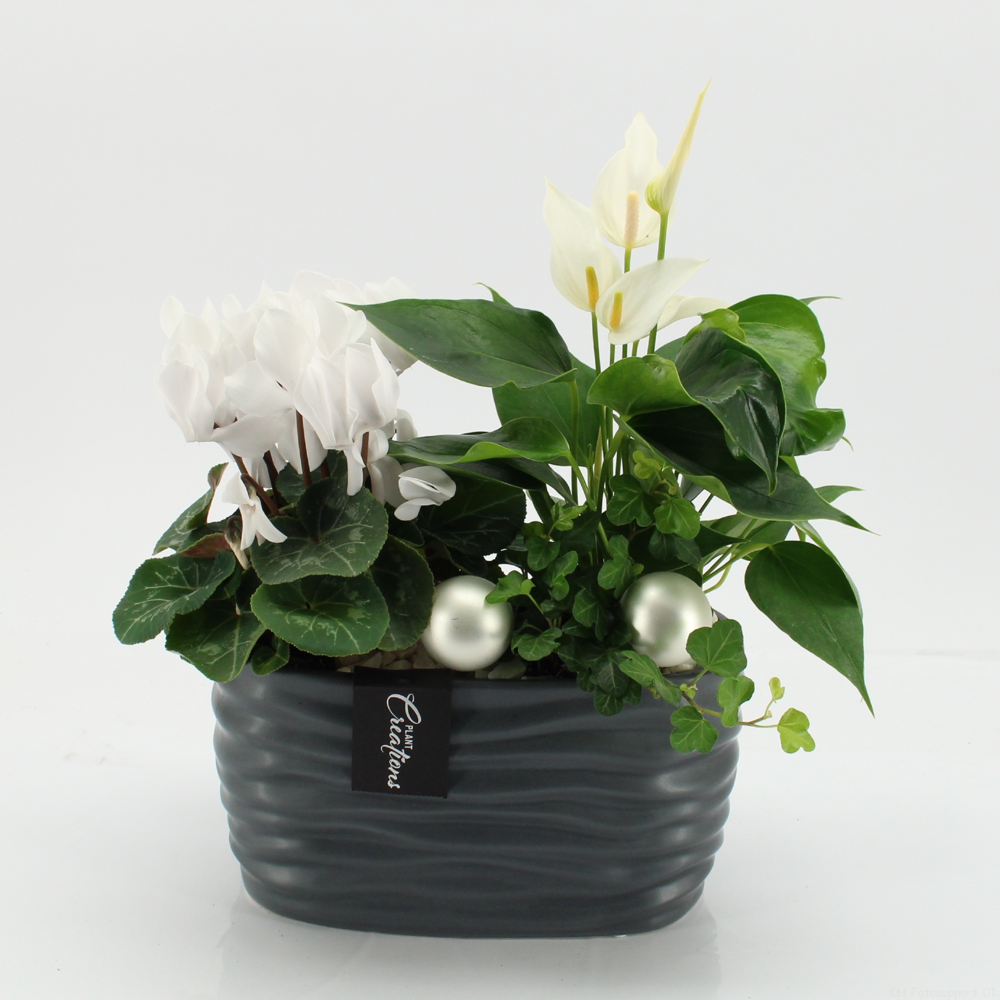 XMASXL-2516 Kerst XL, D 22 cm XMASXL-2516 Kerst XL, D 22 cm