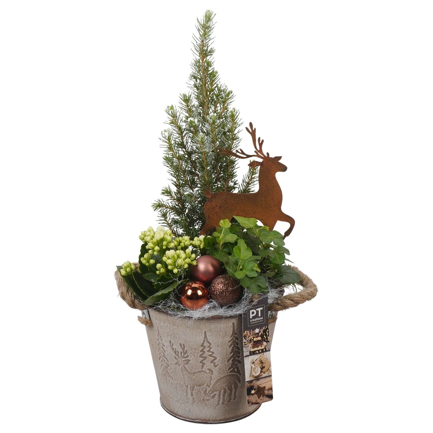 PTCHB9783 Arrangement Christmas Bronze in metalen pot, D 15 cm