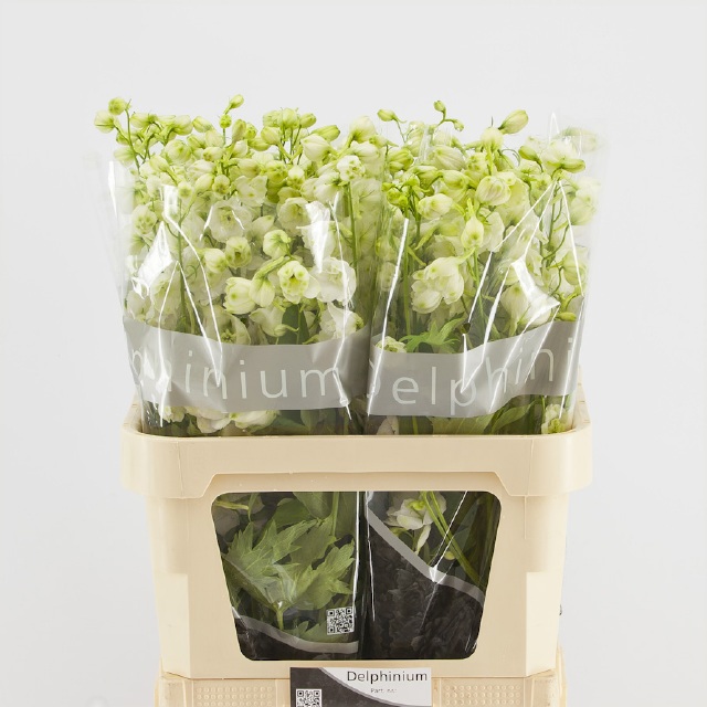 Дельфиниум дв. Центурион Вайт 80, шт.