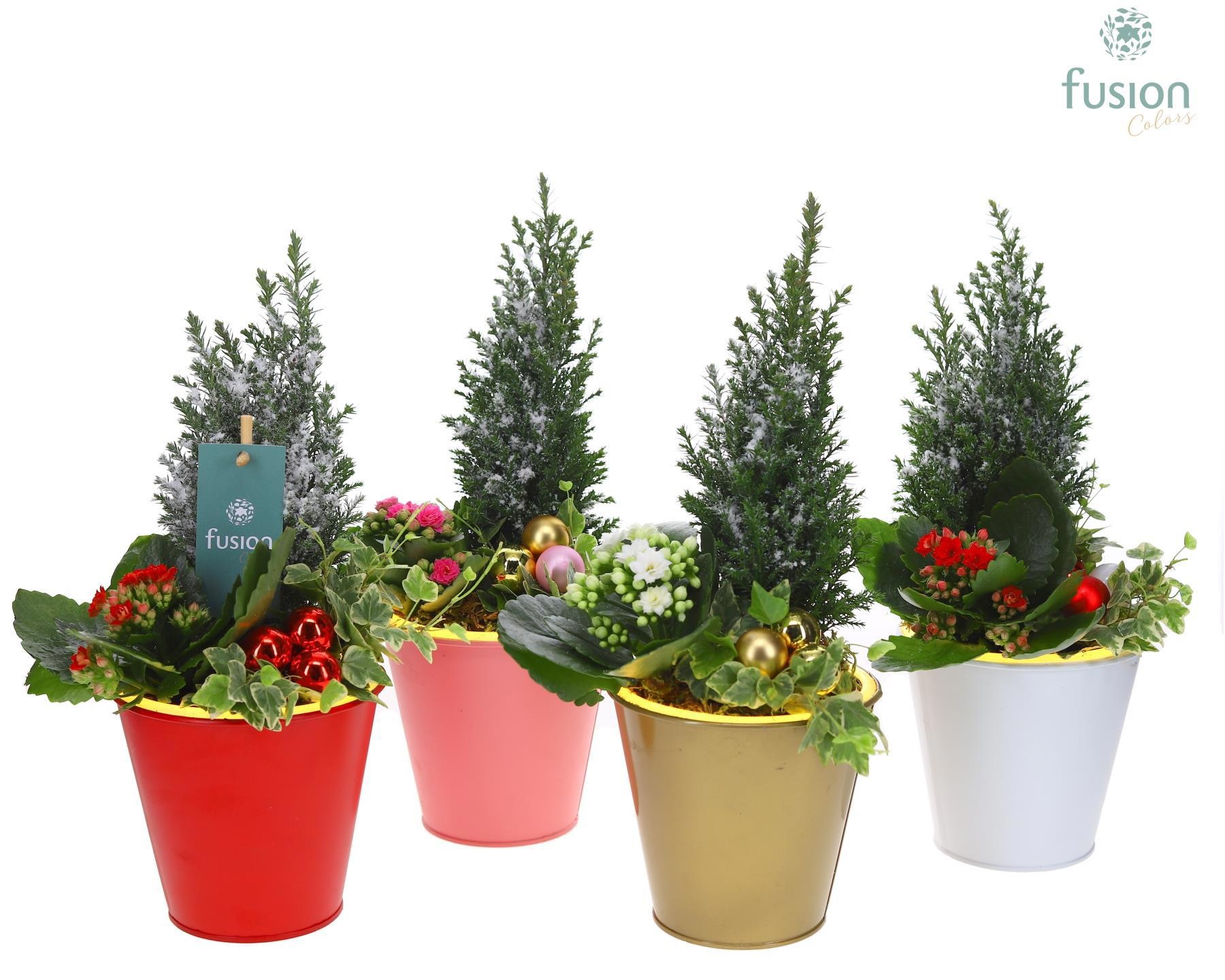 Pot zink wit met verlichting Kerst met arrangement, D 13