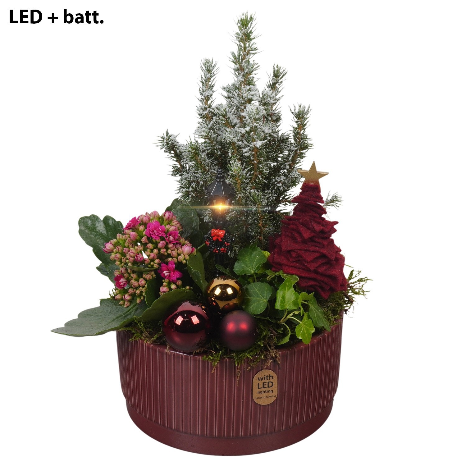 PTCHBO4120 Arrangement Christmas Bordeaux in keramiek schaal met LED, D 19